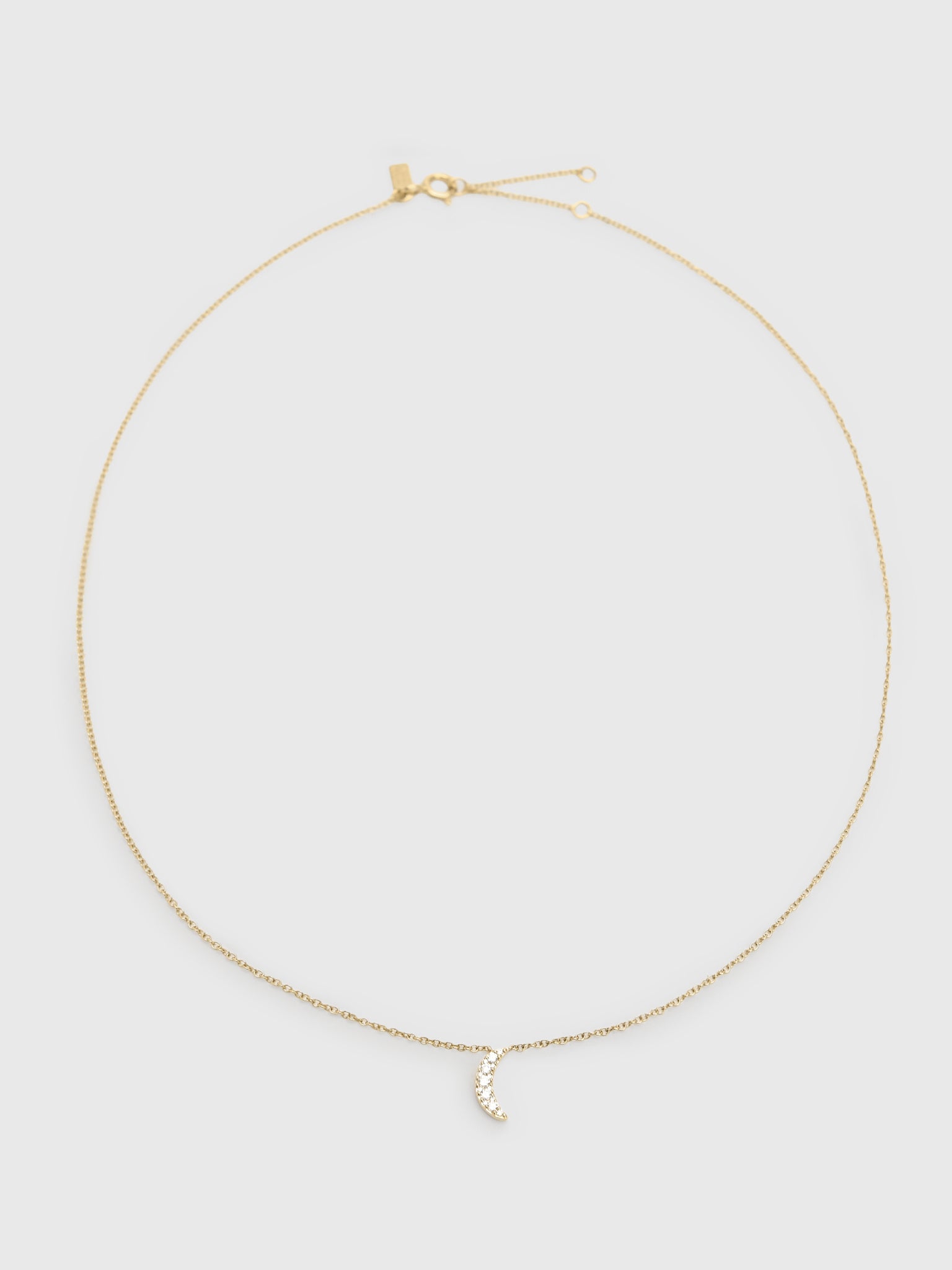 EF Collection Full Cut Diamond Crescent Choker Necklace - Saint Bernard