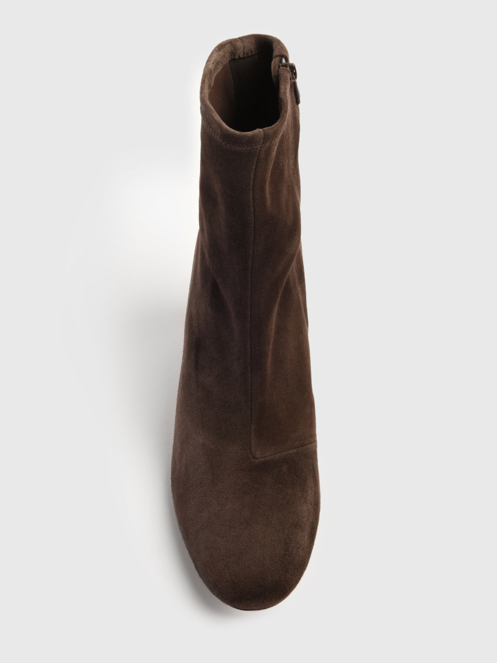 ELISE-SS-TMOROxTMORO-alt2