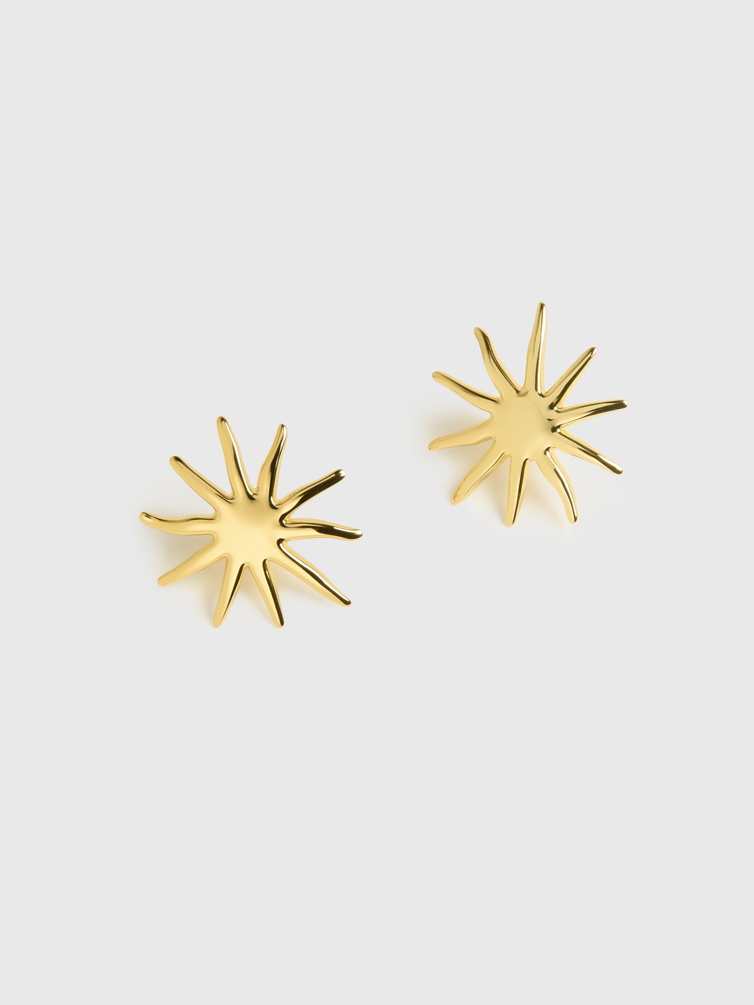 Eliou Solenne Earrings - Saint Bernard