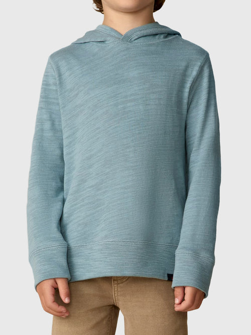 Faherty Brand Boys' Sunwashed Organic Hoodie - Saint Bernard
