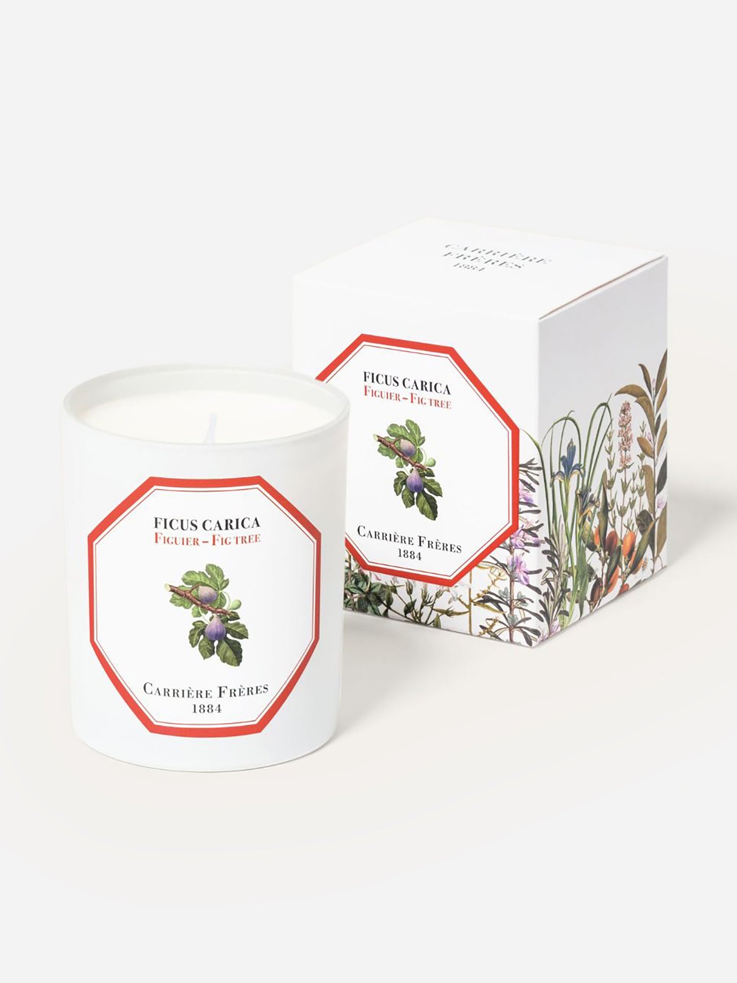 Carriere Freres Fig Tree Candle