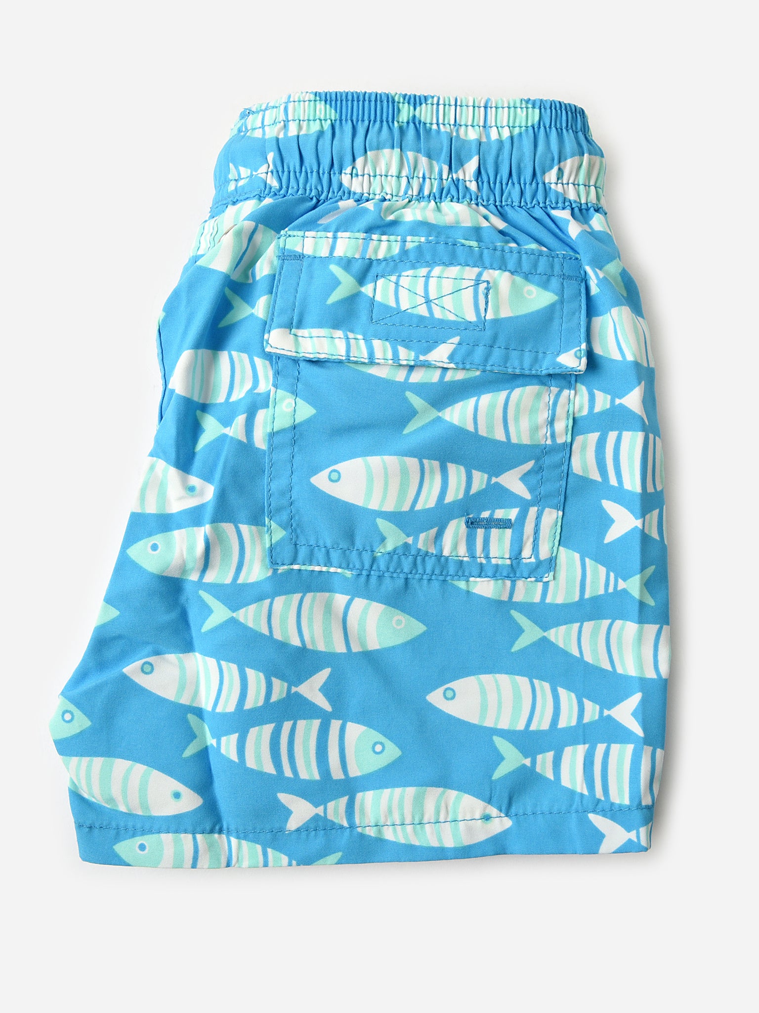 FISH BOYSxSTRIPEDBLUE-alt3