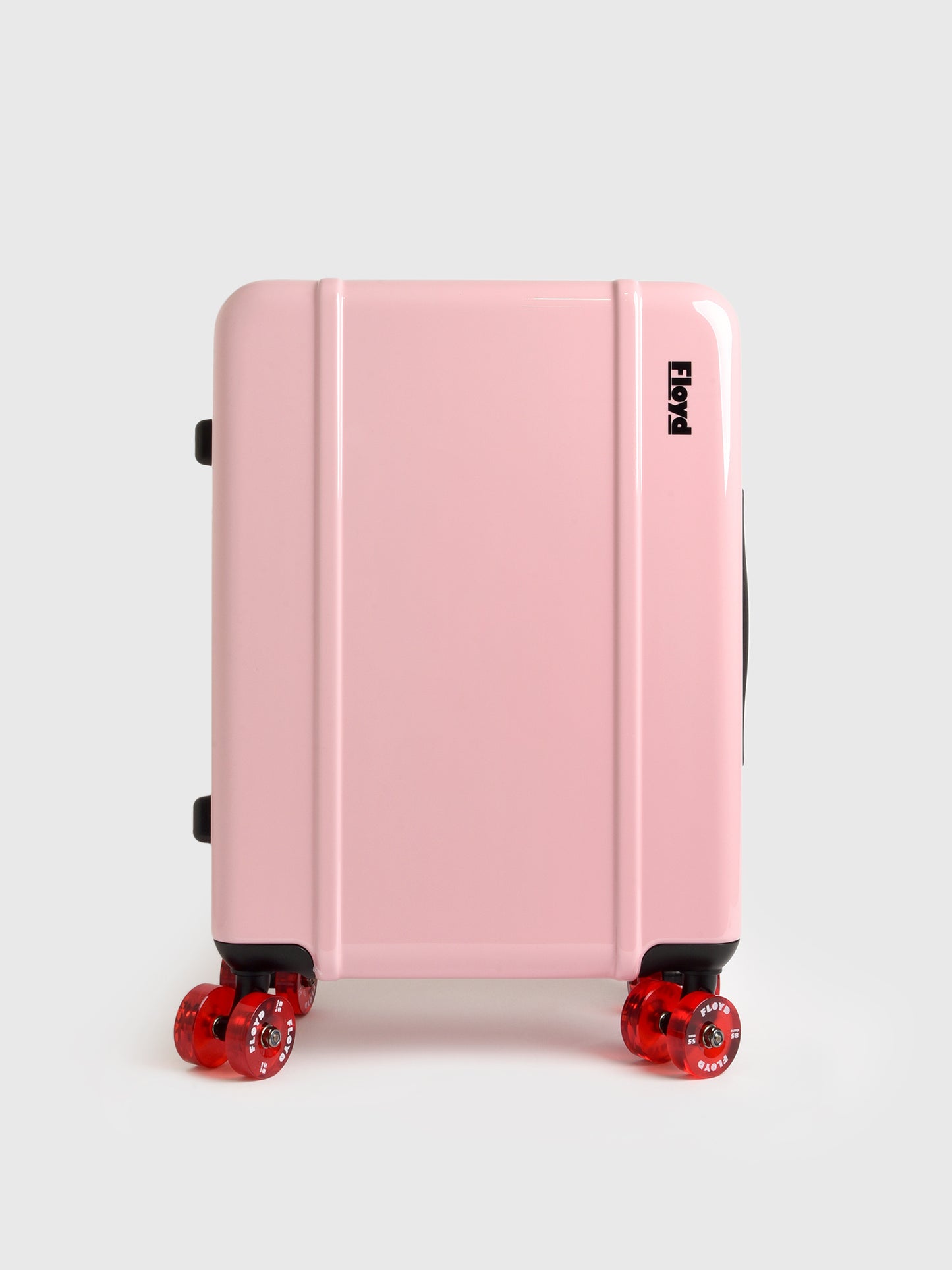 Floyd Cabin Luggage - Saint Bernard