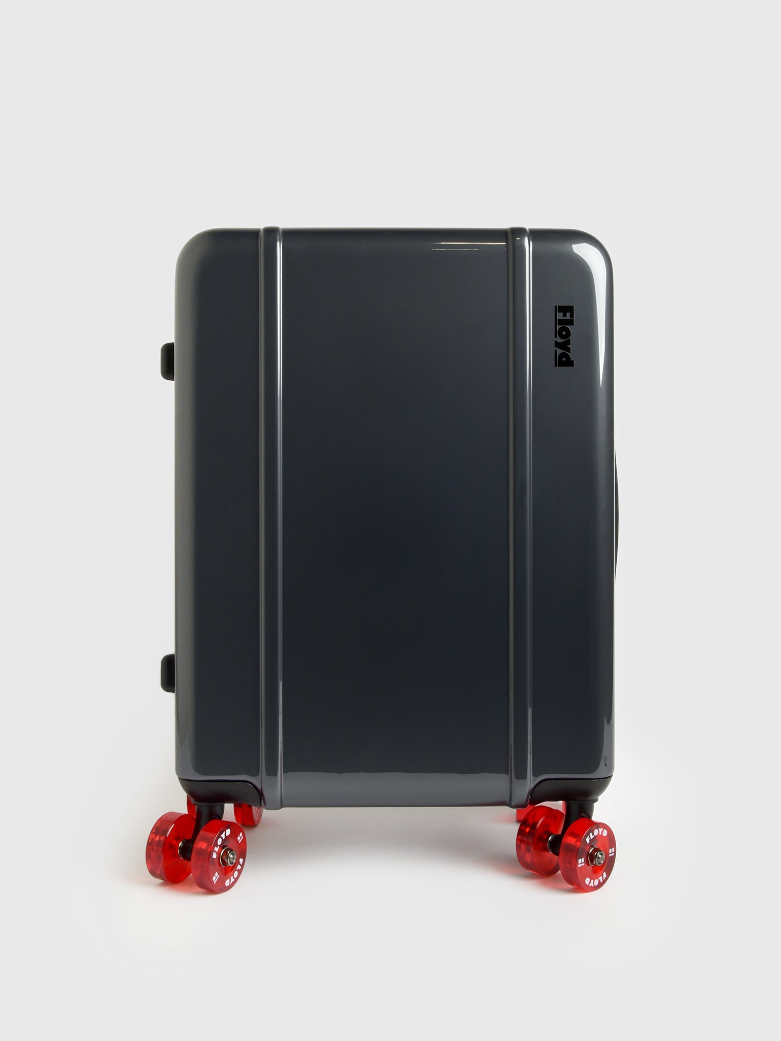 Floyd Cabin Luggage - Saint Bernard