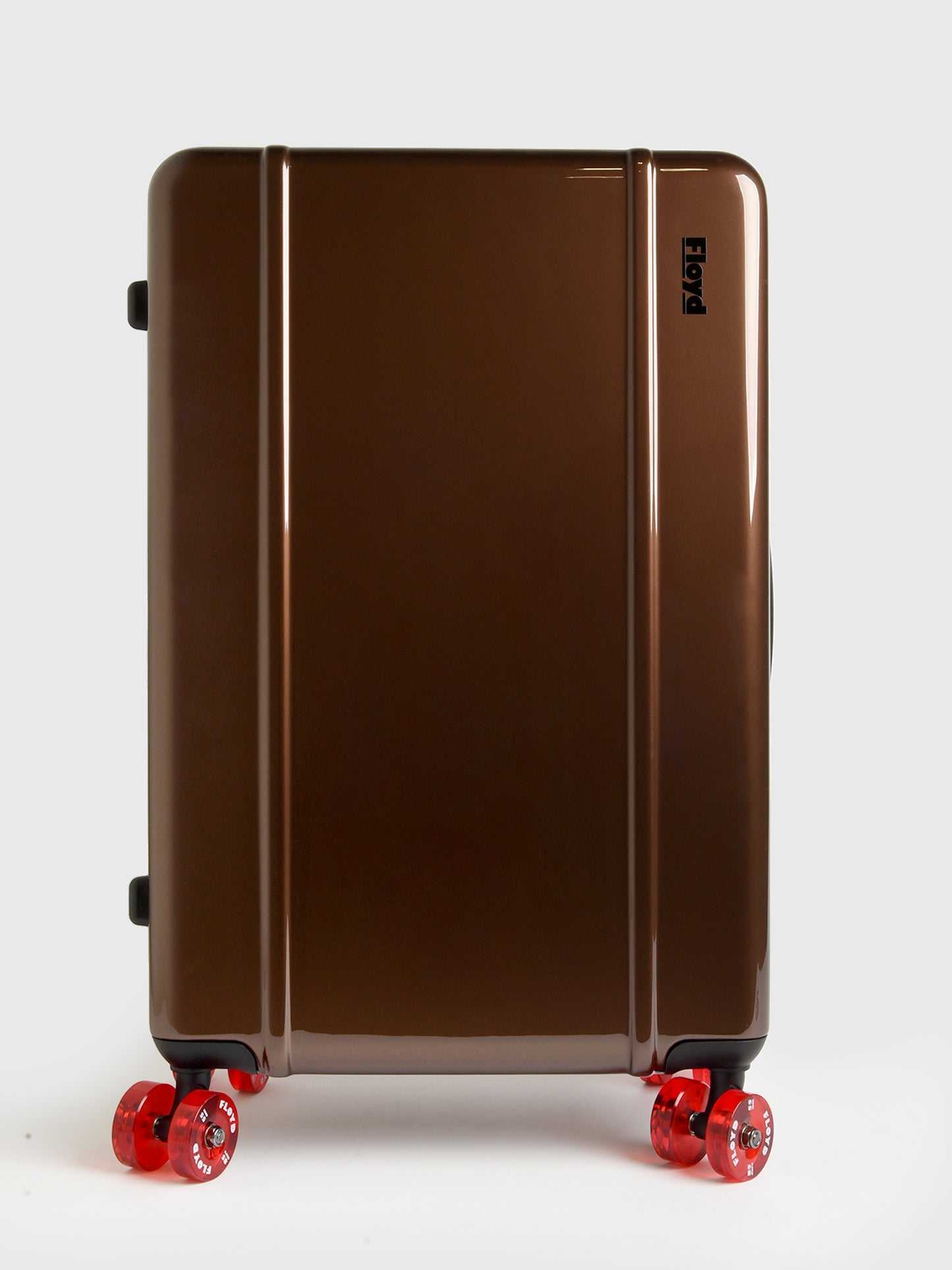 Floyd Check-In Luggage - Saint Bernard