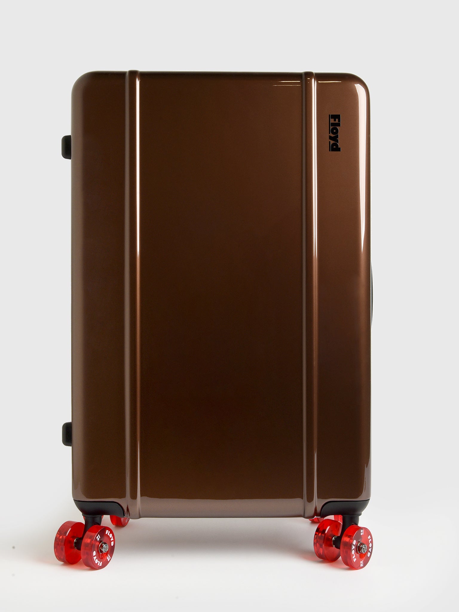 Floyd Check-In Luggage - Saint Bernard