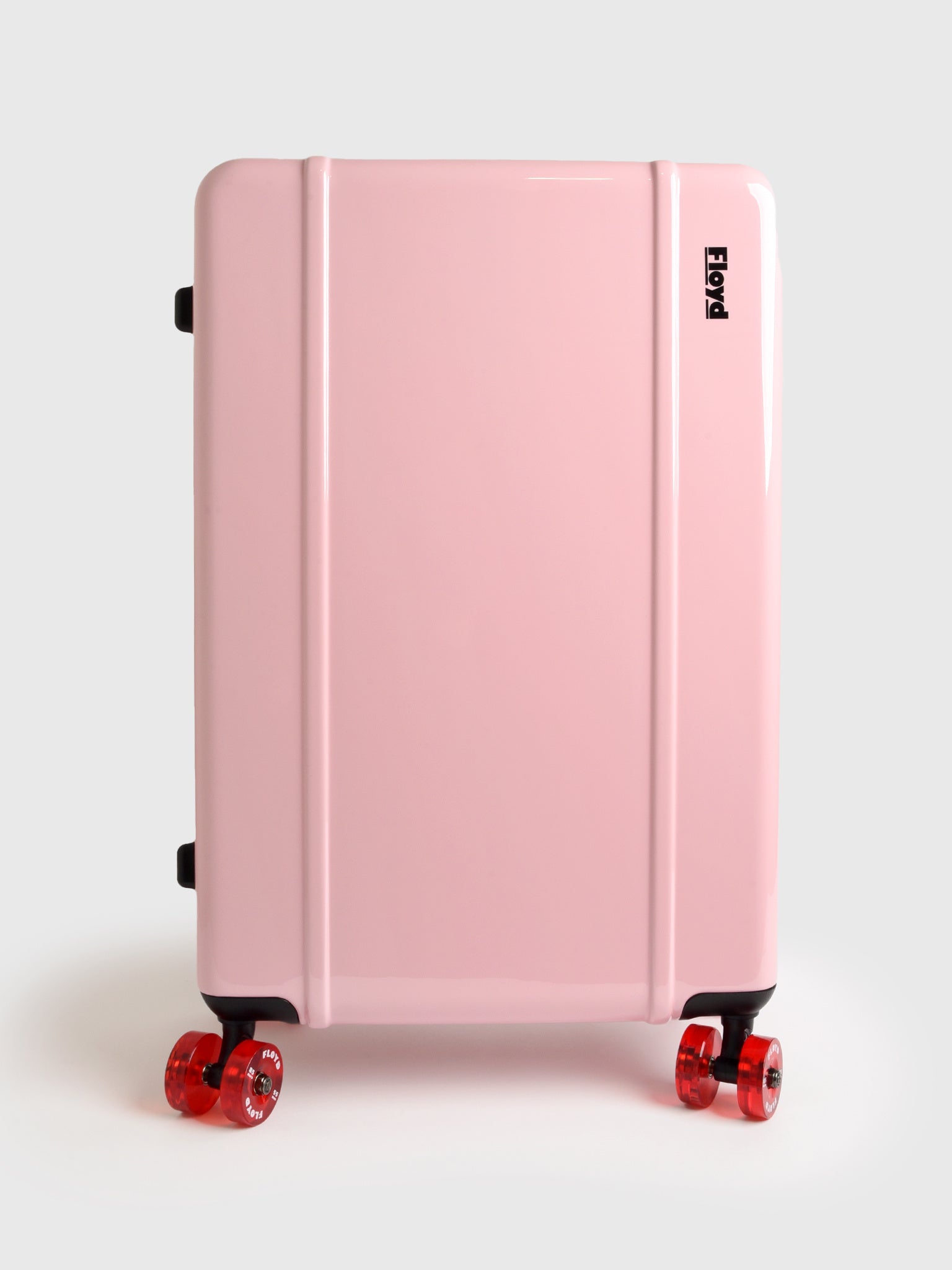 Floyd Check-In Luggage – Saint Bernard