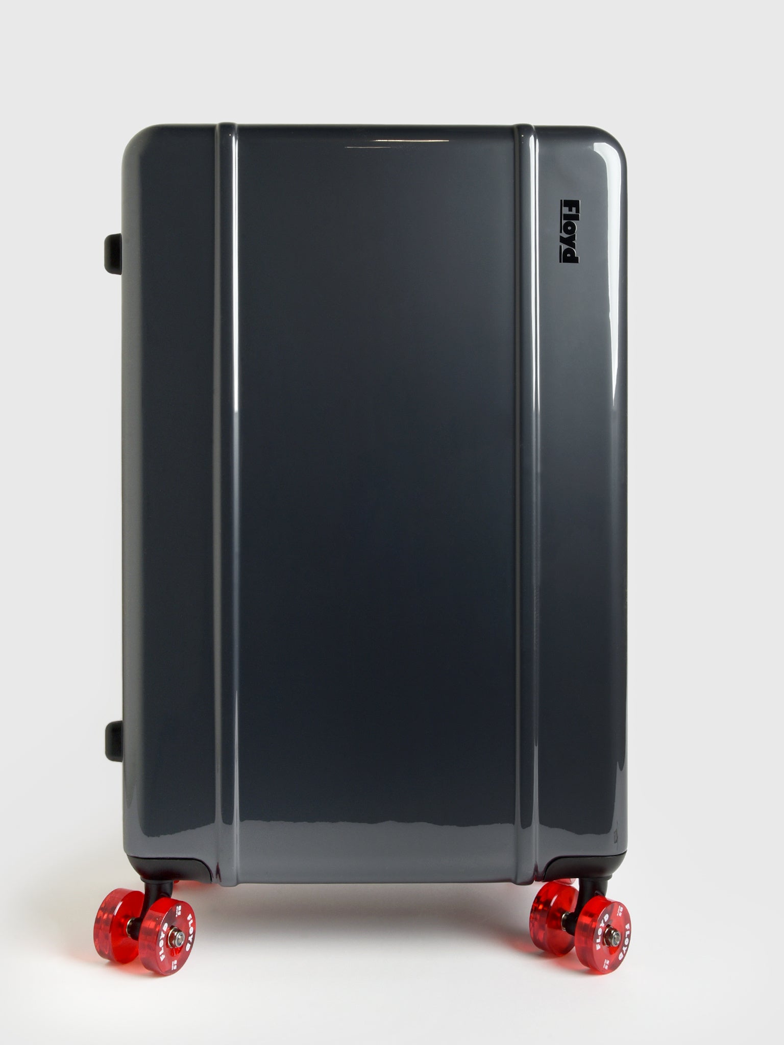 Floyd Check-In Luggage - Saint Bernard