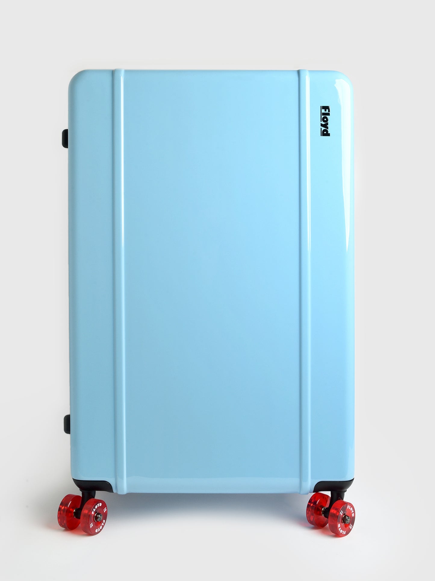 Floyd Trunk Luggage - Saint Bernard