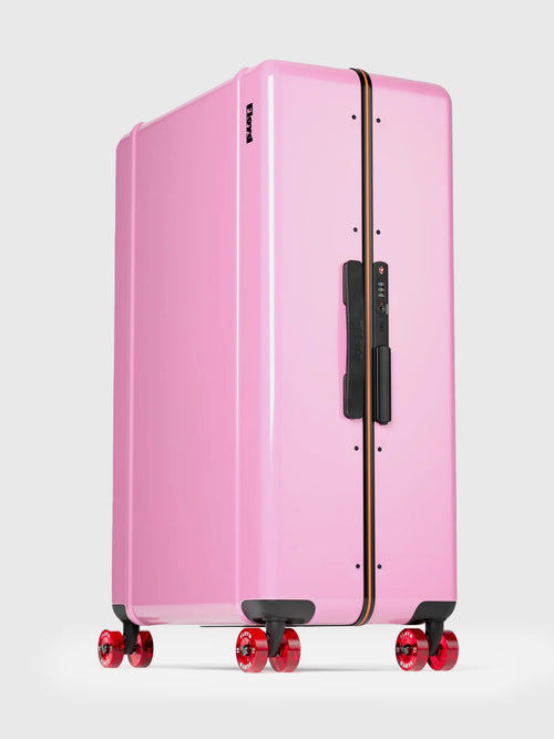 Floyd Trunk Luggage - Saint Bernard