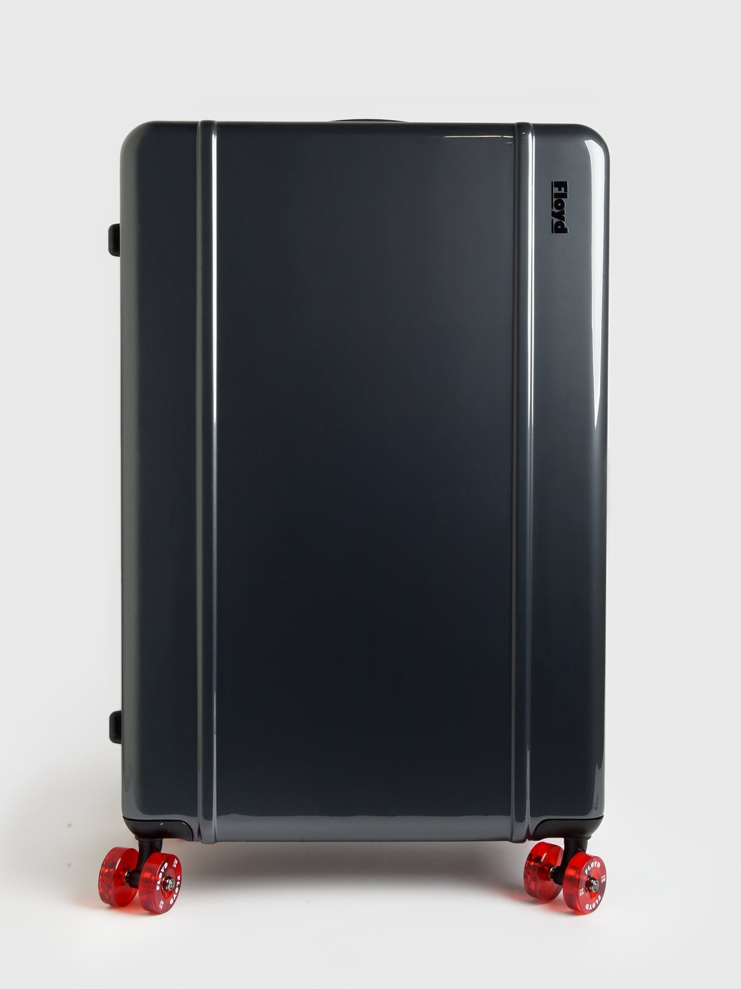 Floyd Trunk Luggage - Saint Bernard