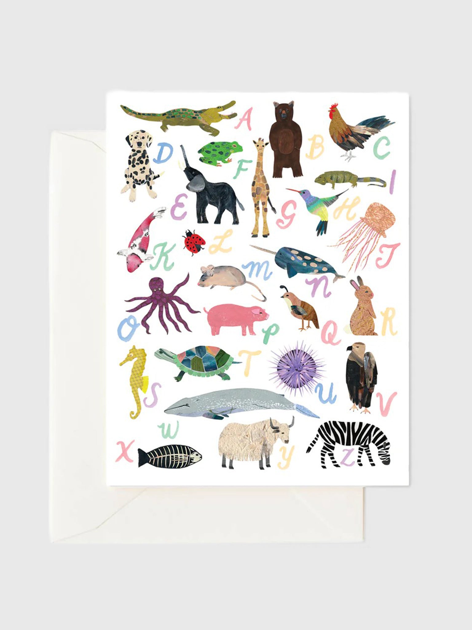 Forage Paper Co Baby Card - Saint Bernard