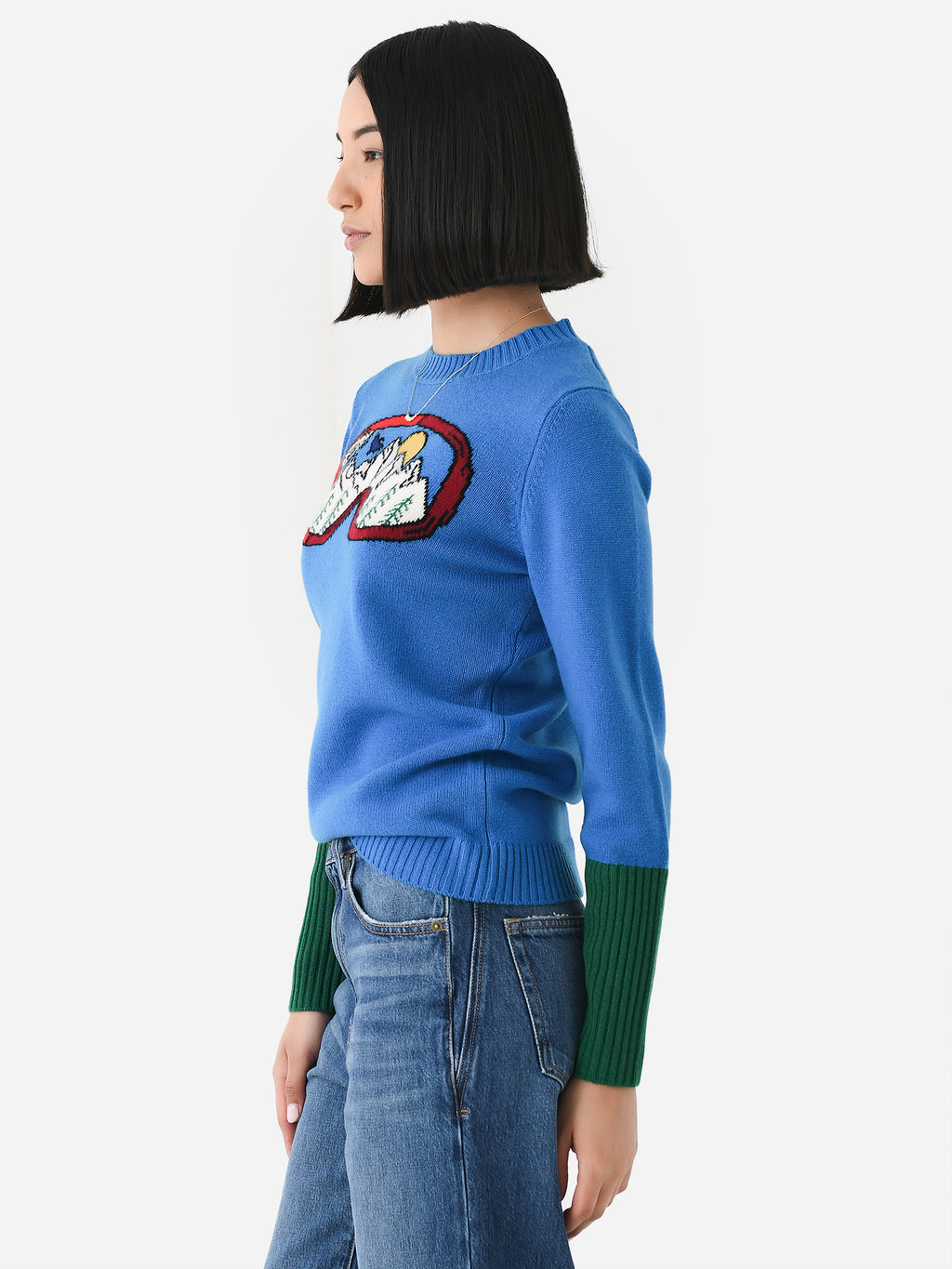 FW23-081xBLUEGREEN-alt2