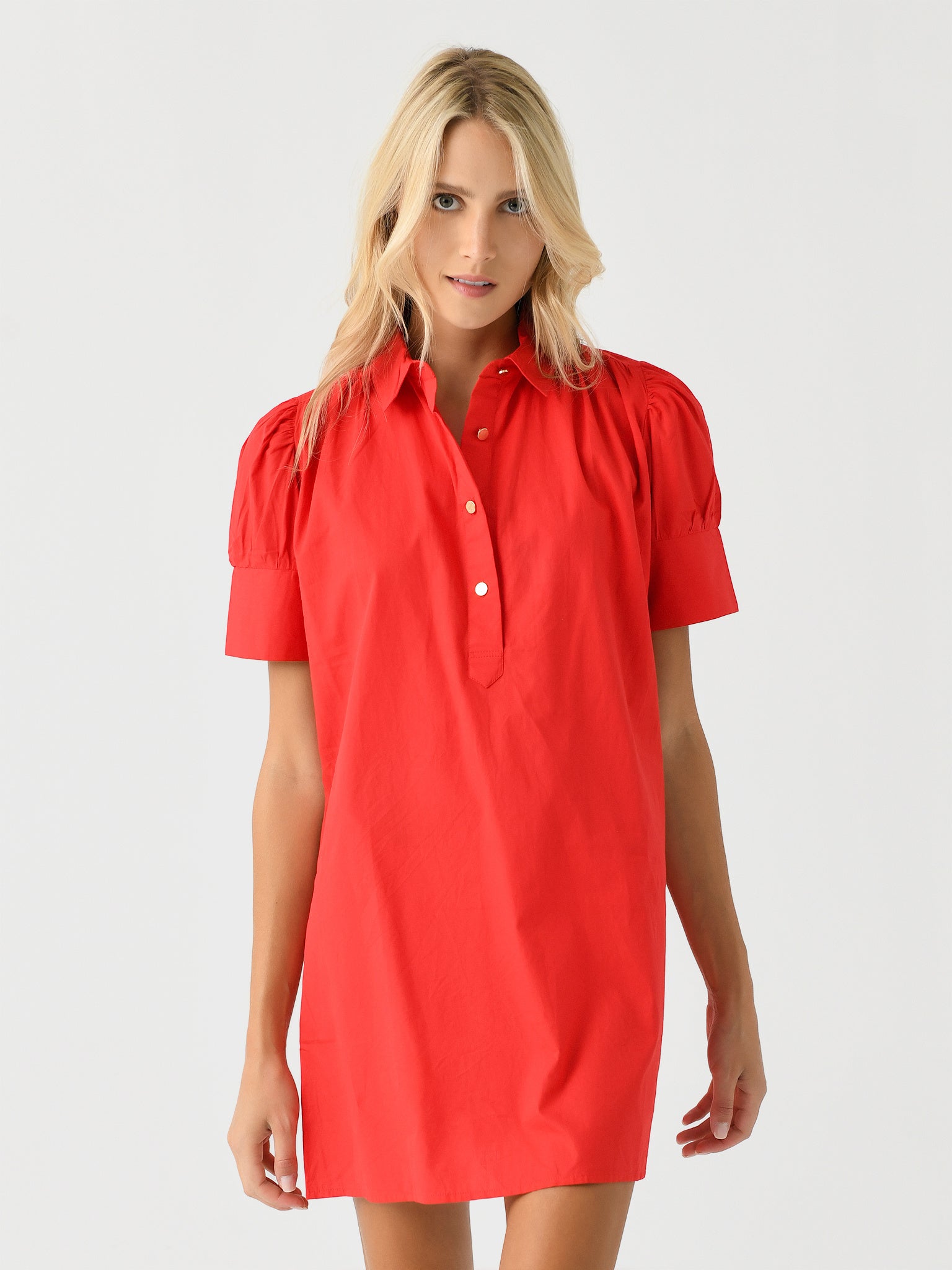 Never A Wallflower Women's Everything Dress - Saint Bernard