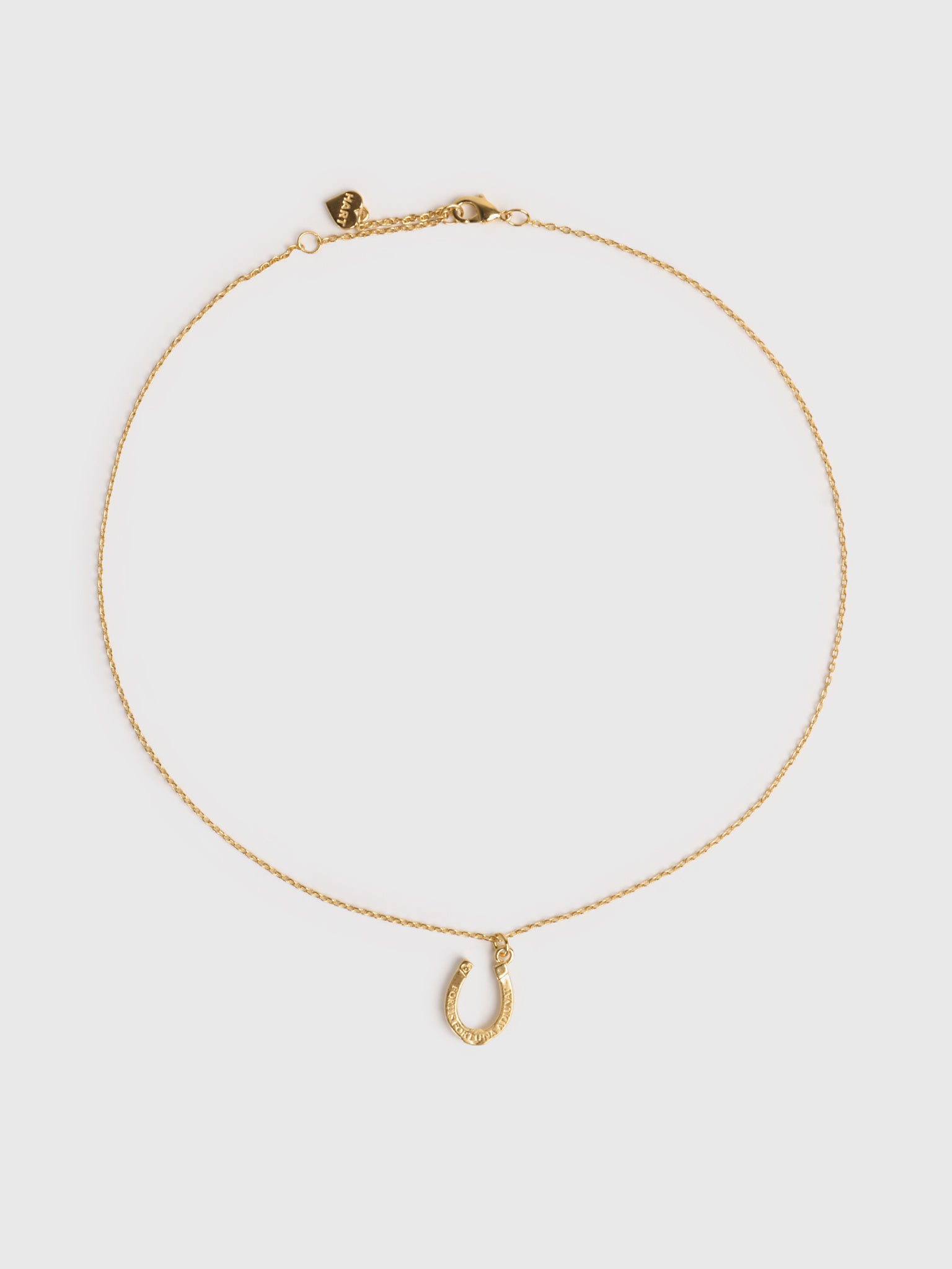 Hart The Fortuna Horseshoe Dainty Necklace - Saint Bernard