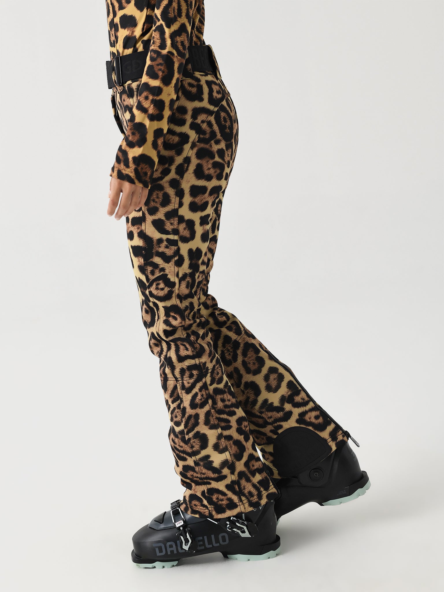 GB02870244xJAGUAR-alt2