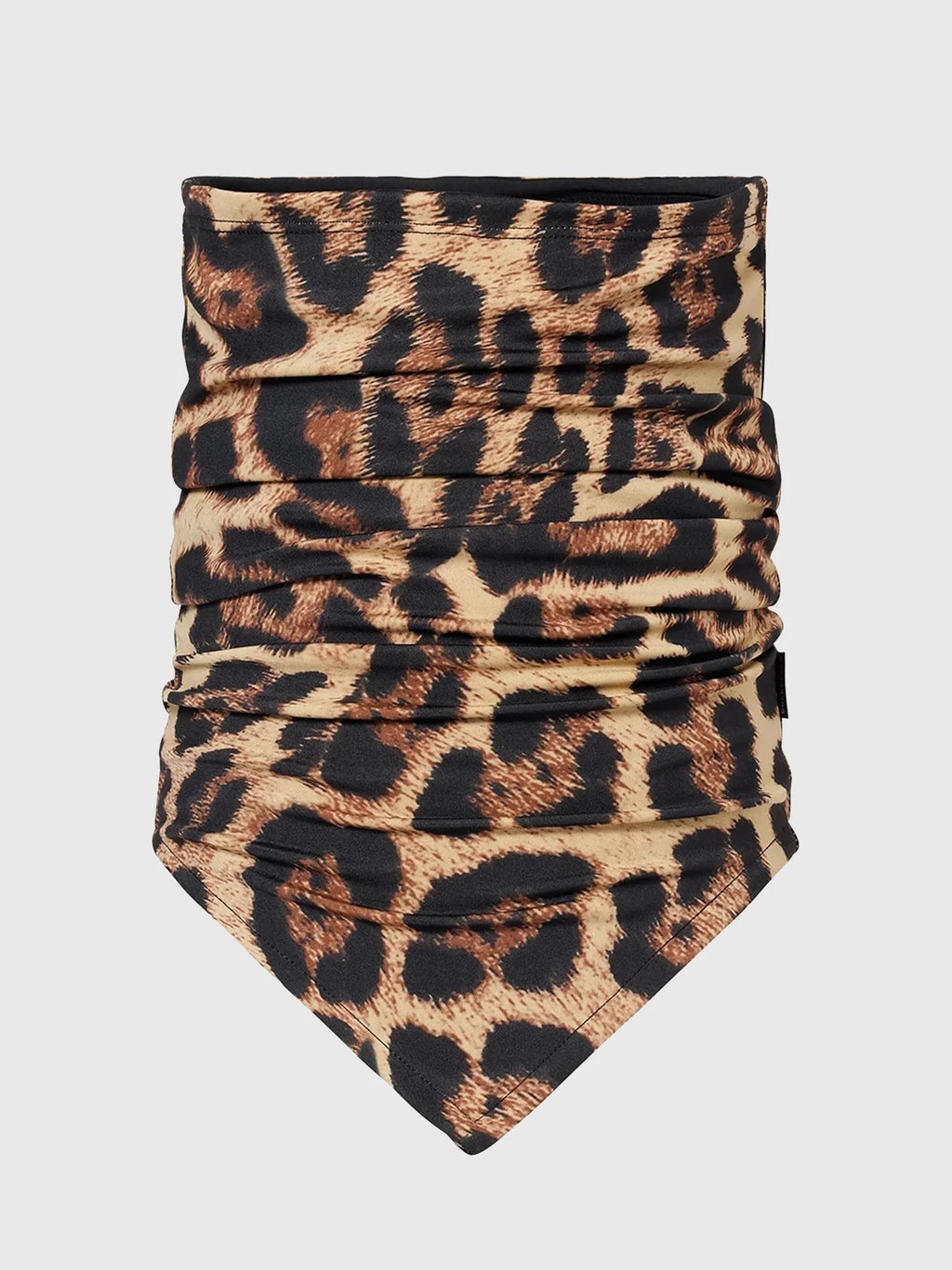 GB31101254xJAGUAR-alt2