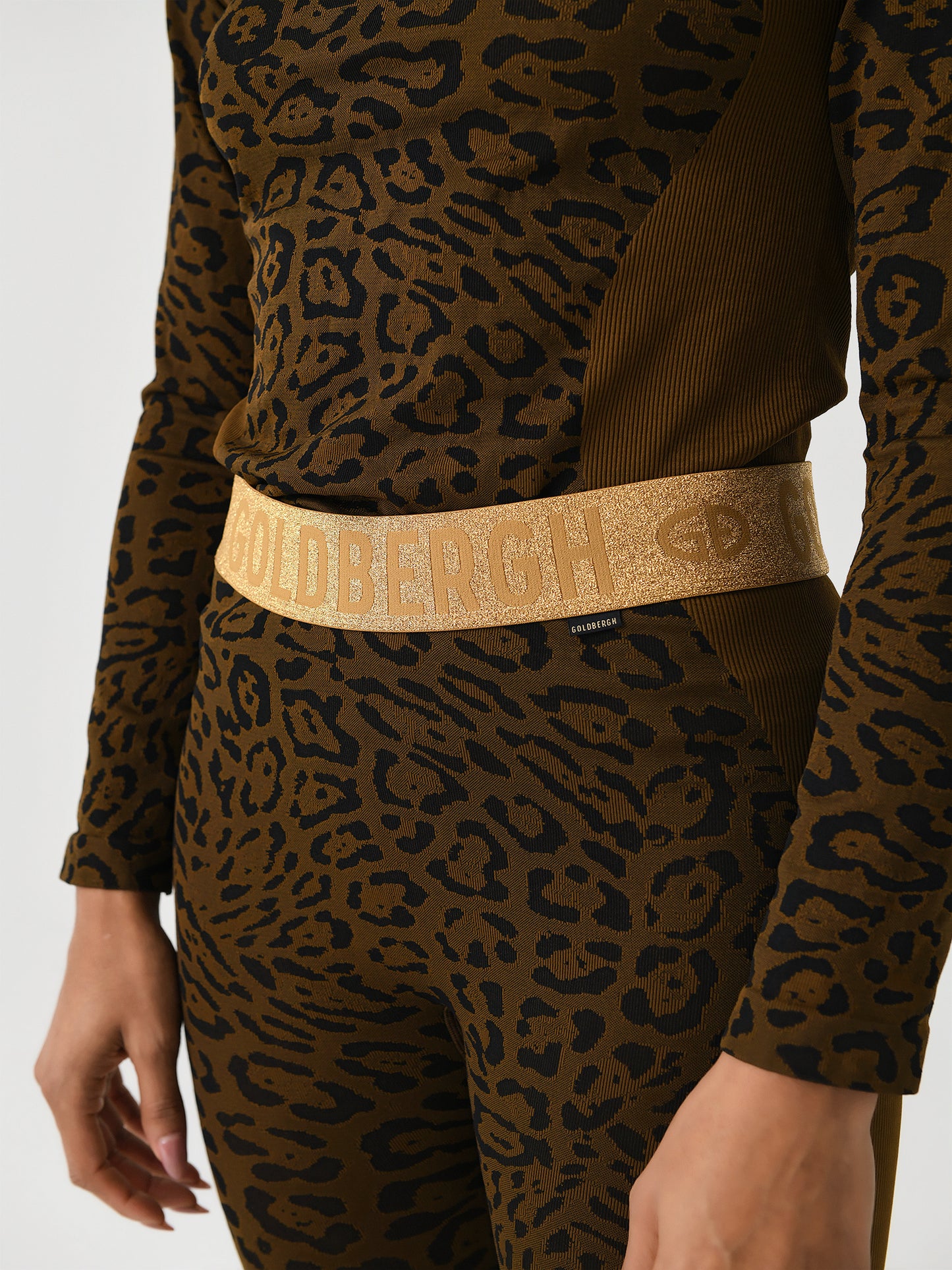 GB36463244xJAGUAR-alt2