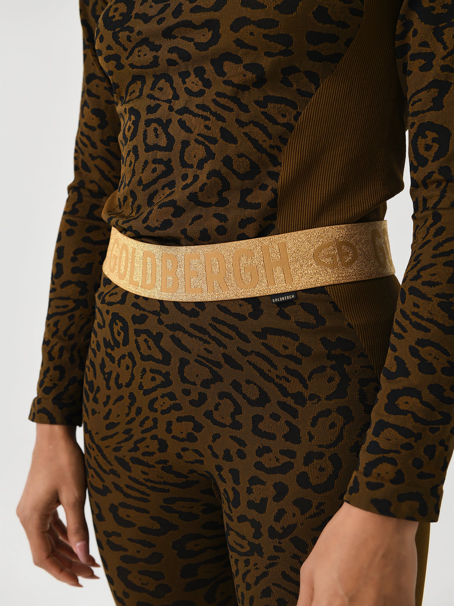 GB36463244xJAGUAR-alt2