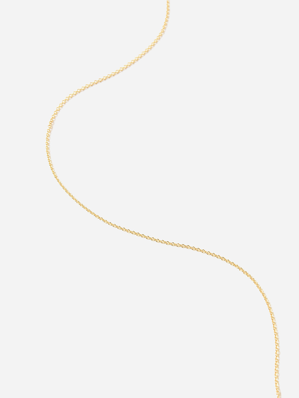 Francie B. Women's Gold Chain Necklace - Saint Bernard