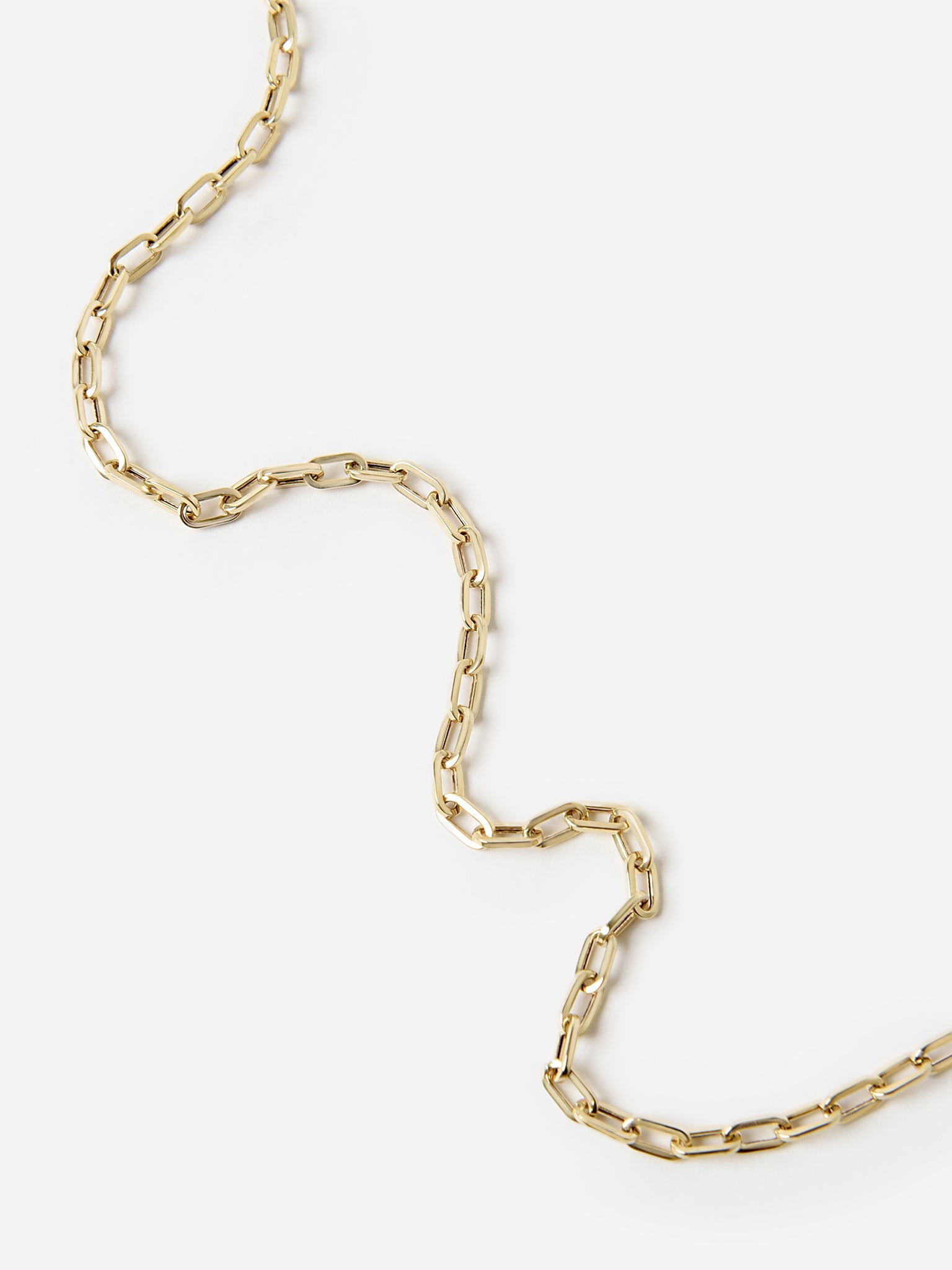 Francie B. Gold Paperclip Necklace - Saint Bernard