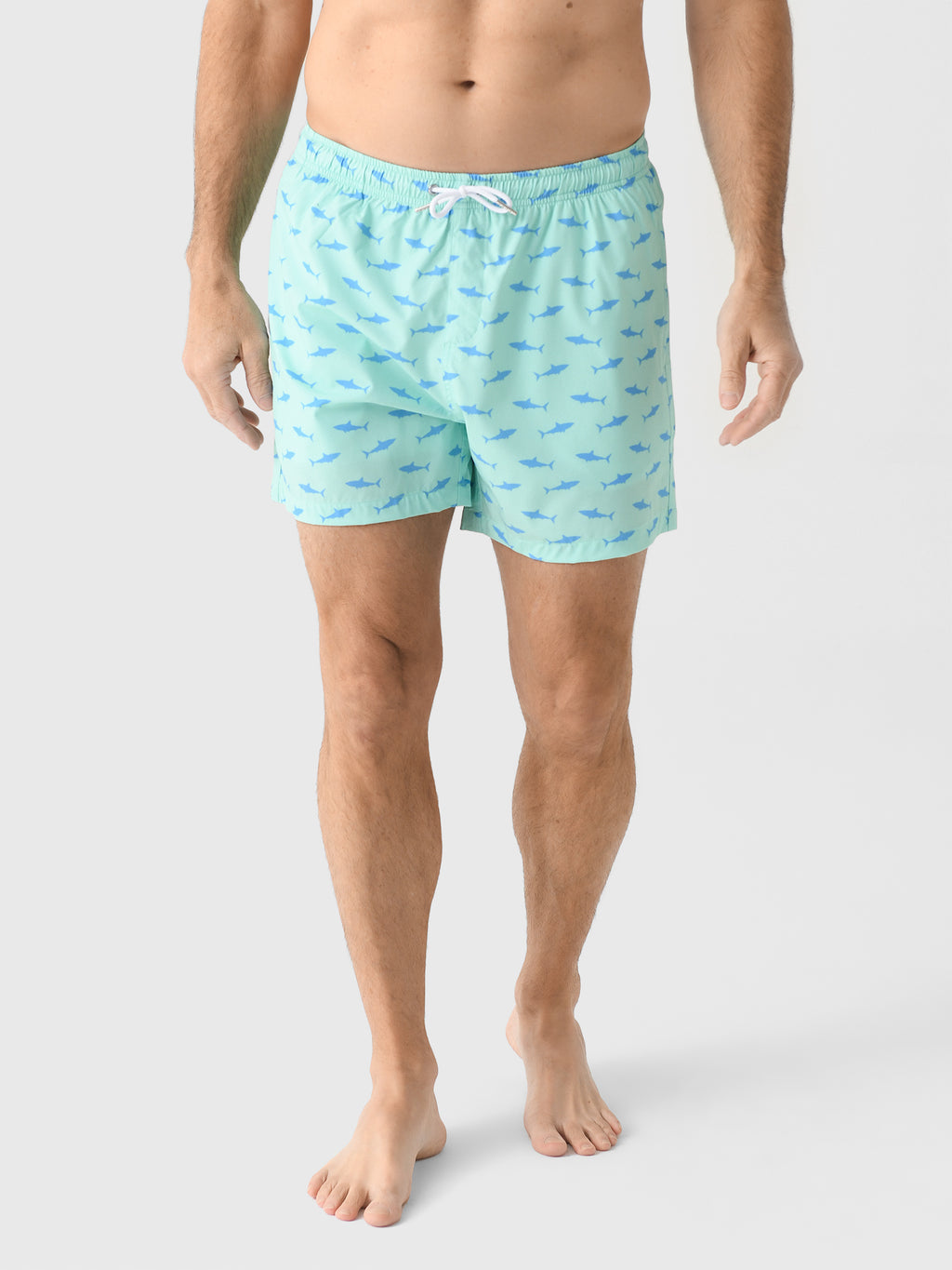 Bermies Men's Great White Swim Trunk - Saint Bernard