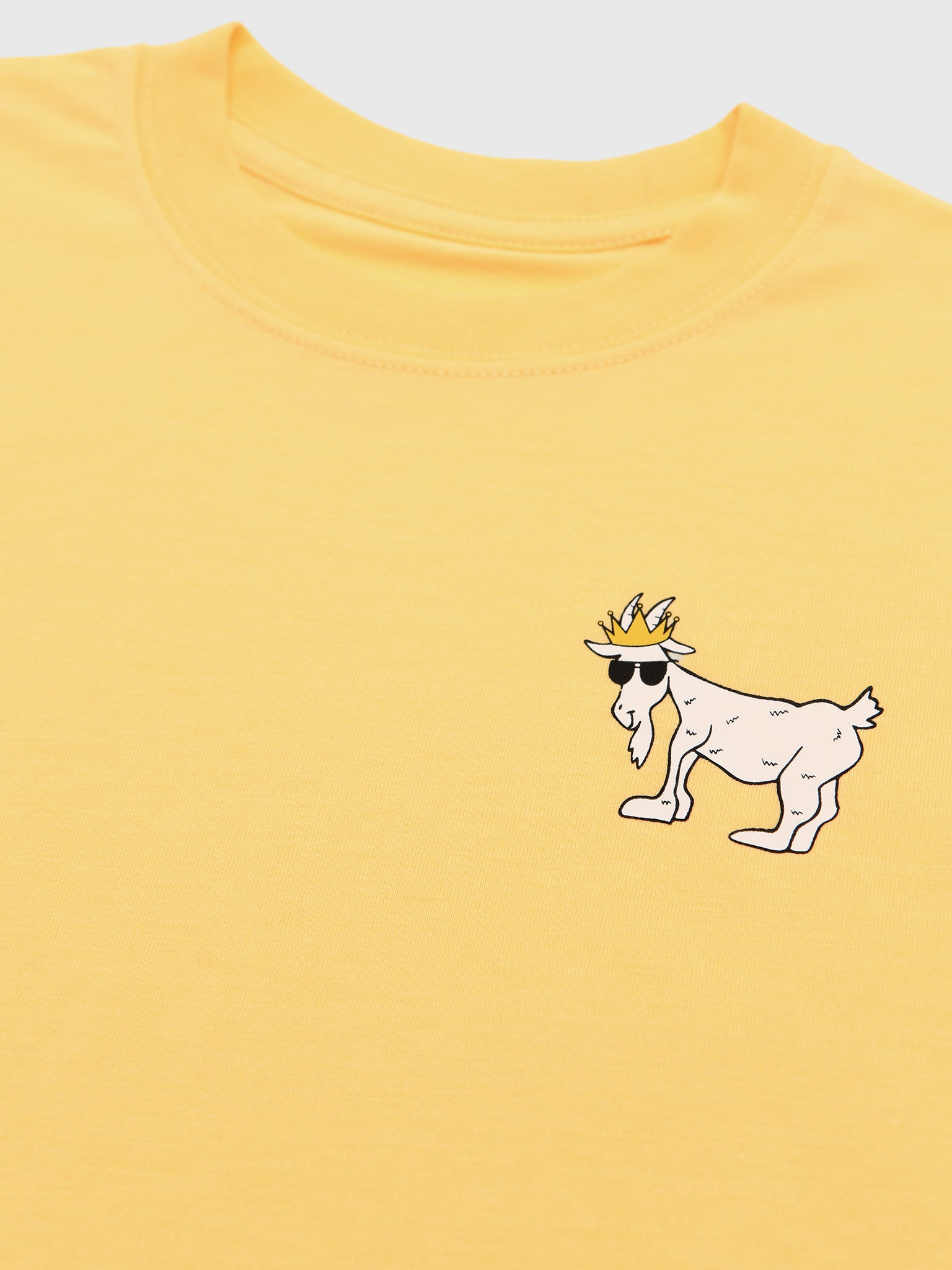 Goat USA Boys' WG T-Shirt - Saint Bernard
