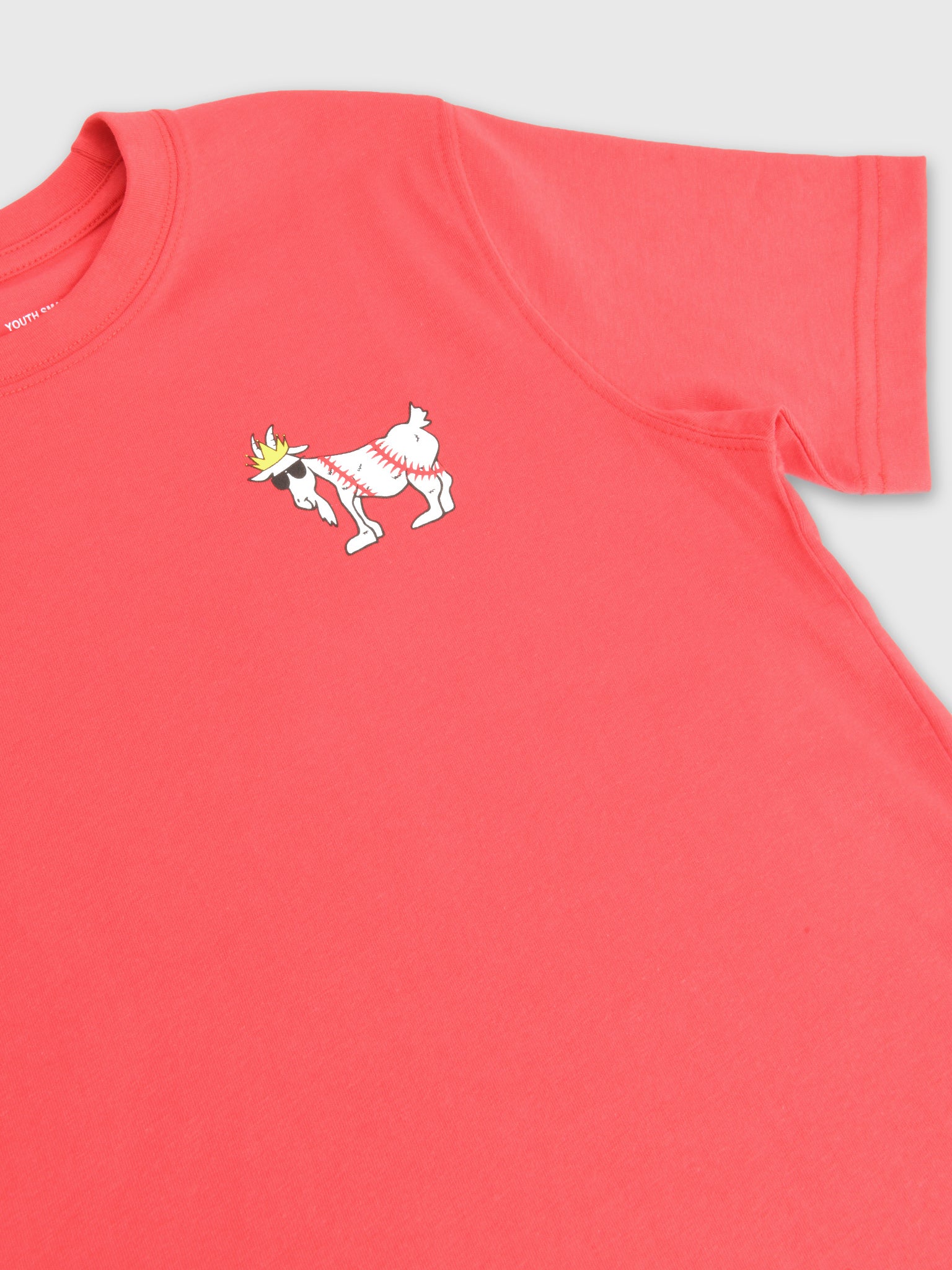 Goat USA Boys' Baseball T-Shirt - Saint Bernard