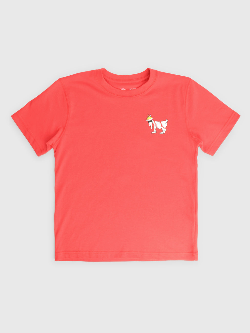 Goat USA Boys' Baseball T-Shirt - Saint Bernard