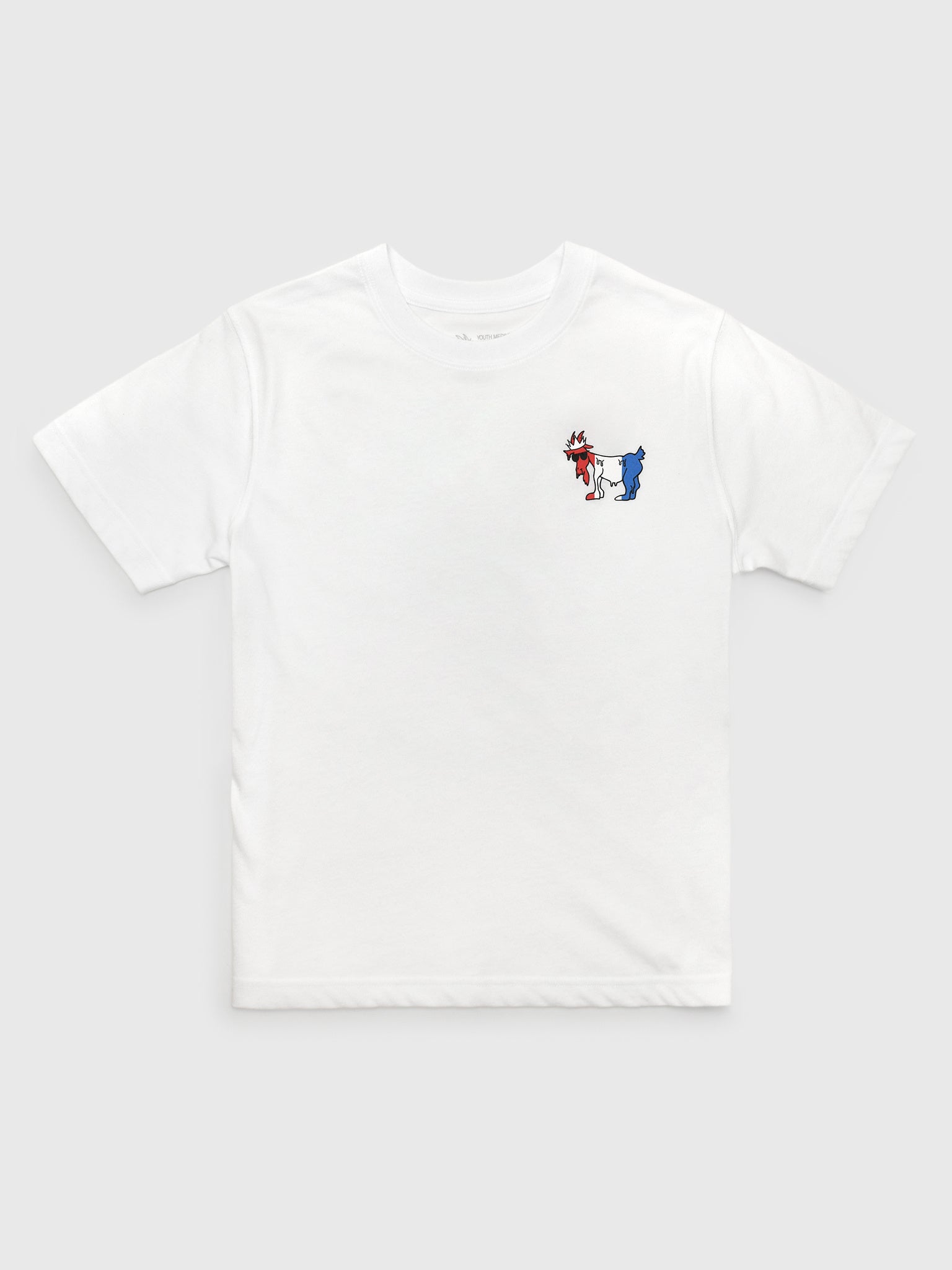 Goat USA Boys' Popsicle T-Shirt - Saint Bernard