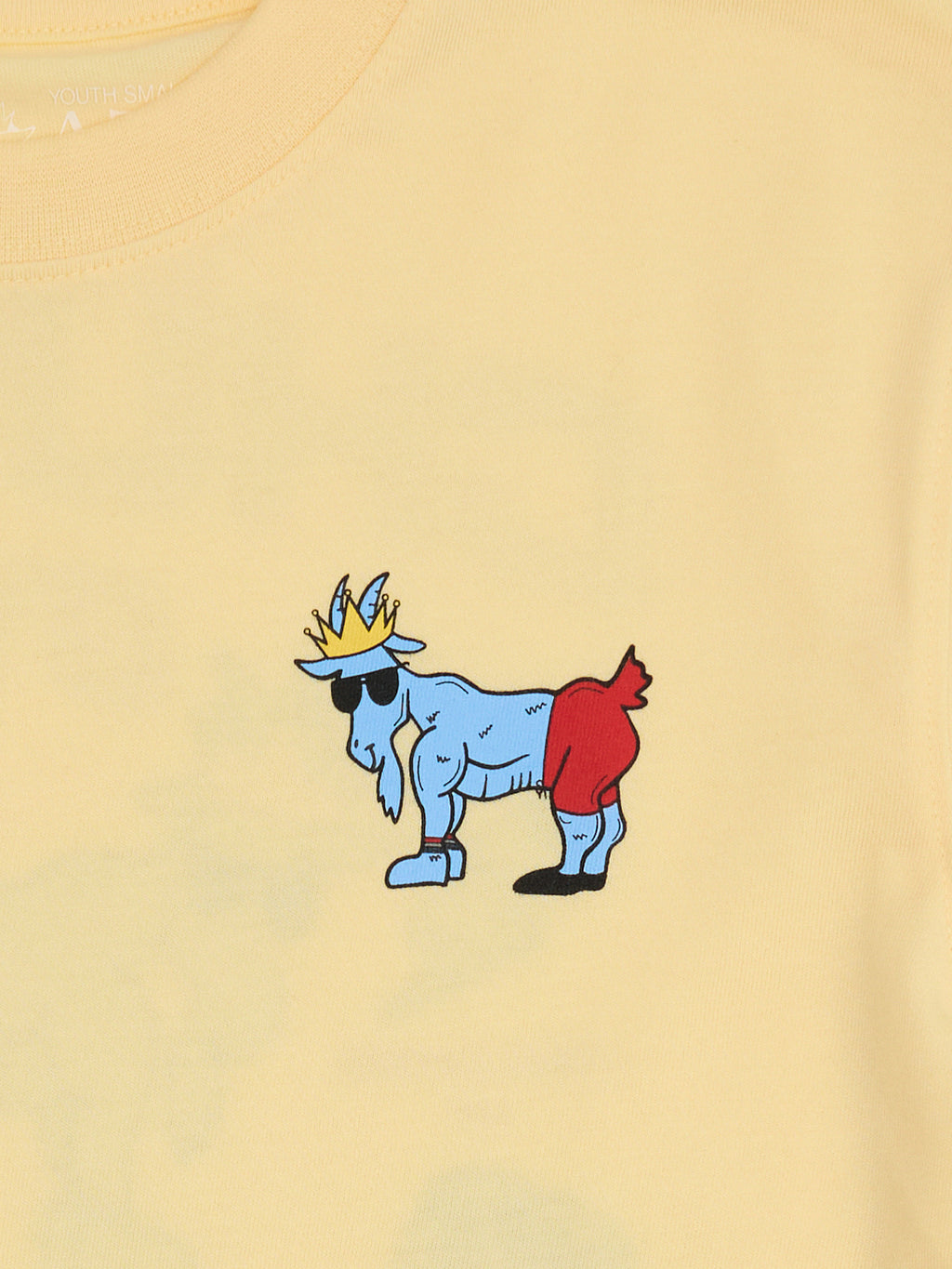 Goat USA Boys' Chuck's Gym T-Shirt