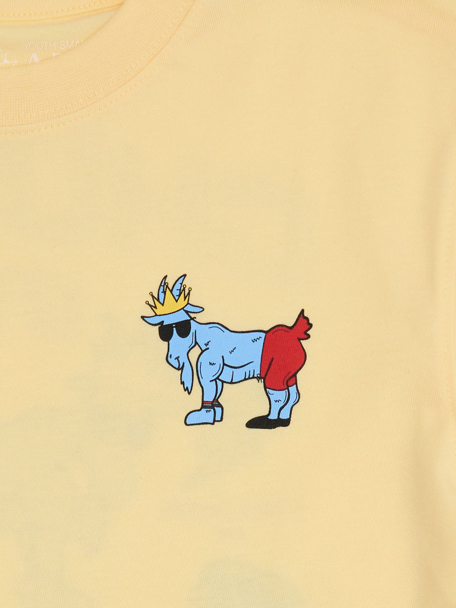 Goat USA Boys' Chuck's Gym T-Shirt