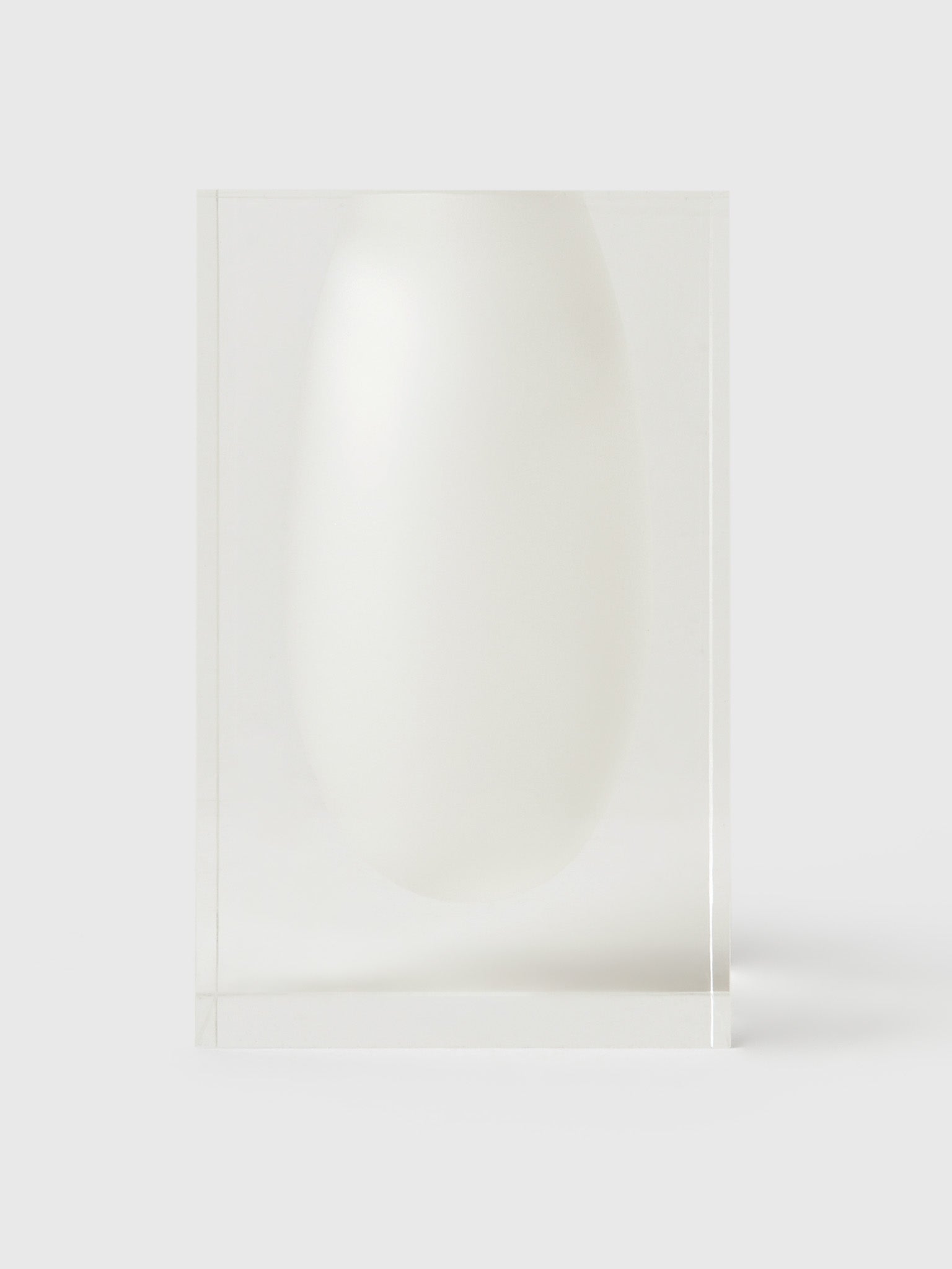 TIZO Acrylic Vase - Saint Bernard