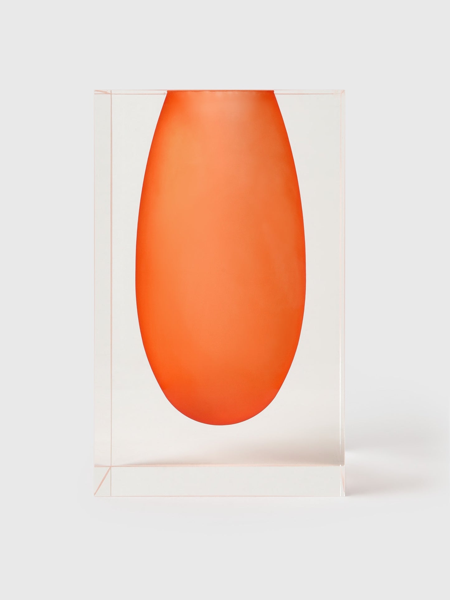 TIZO Acrylic Vase - Saint Bernard