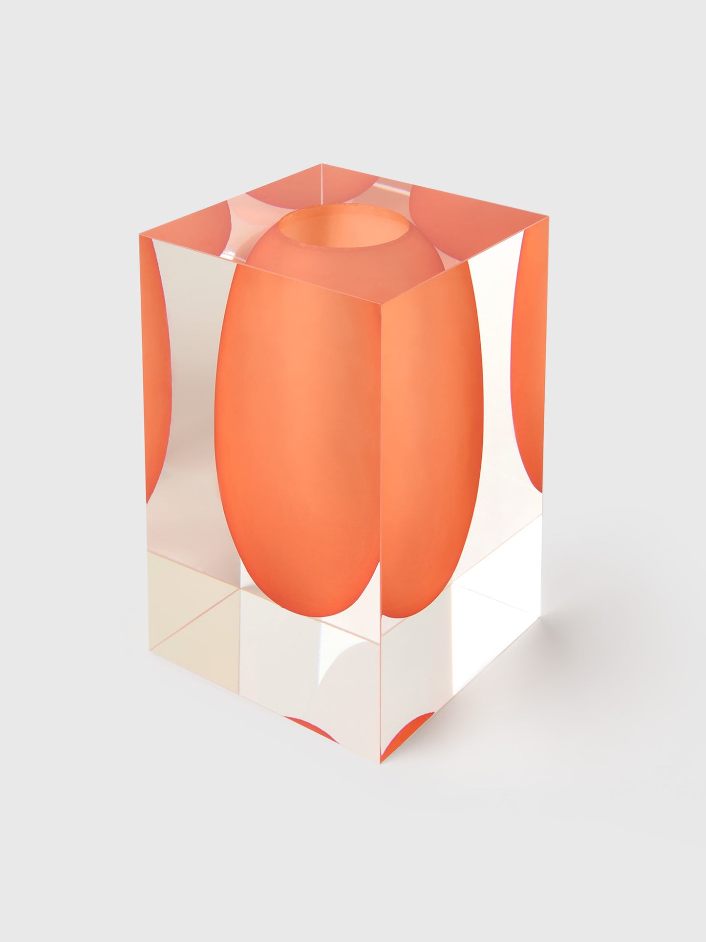 TIZO Acrylic Vase - Saint Bernard