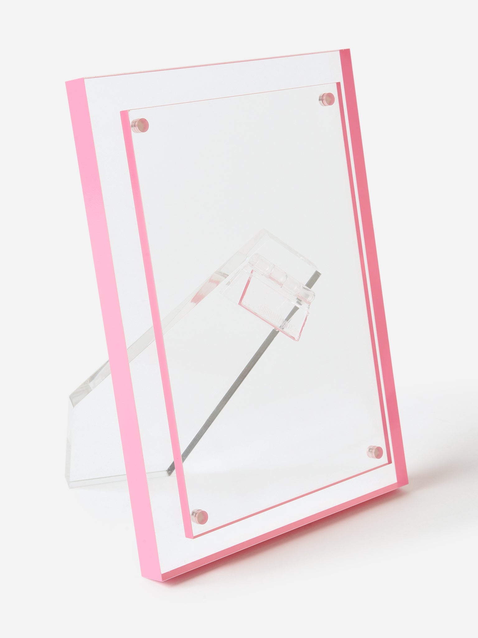 TIZO Lucite Double Pink 4x6 Photo Frame - Saint Bernard