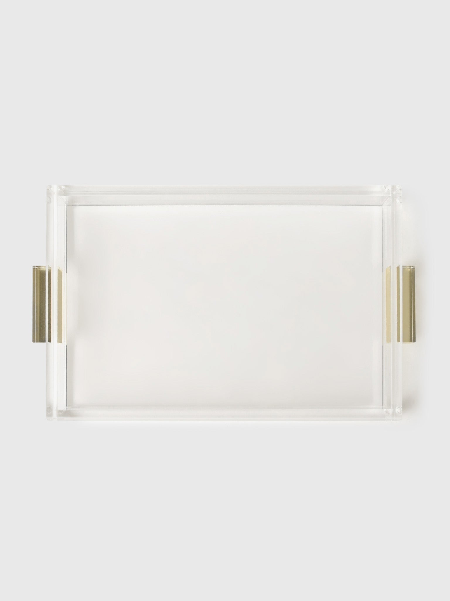 TIZO Acrylic Tray - Saint Bernard