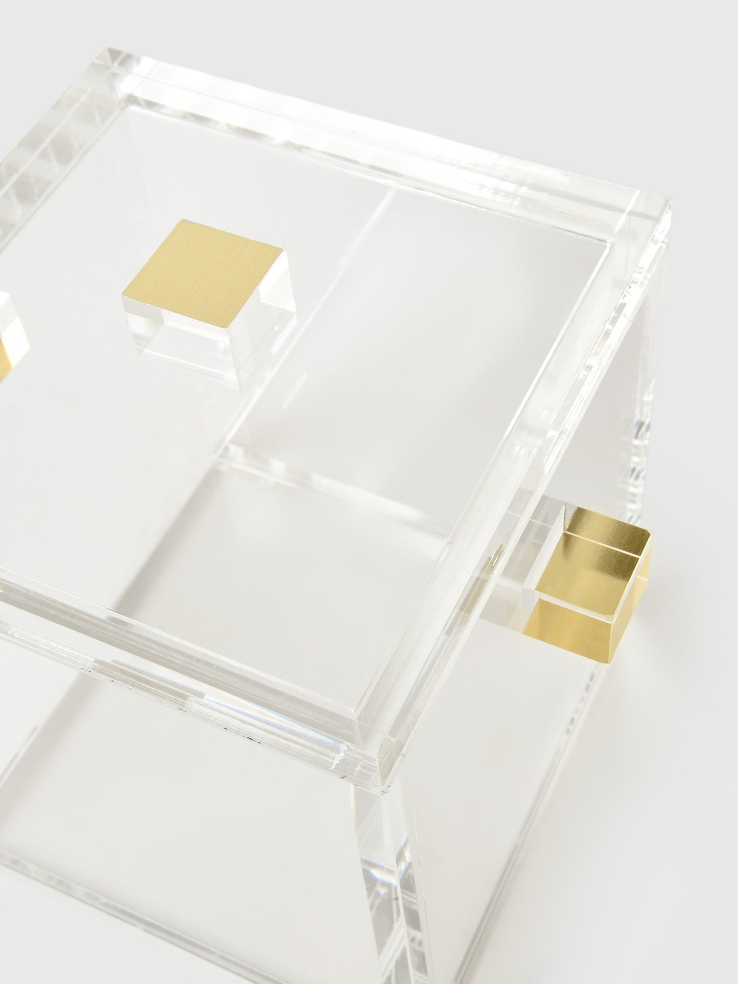 TIZO Acrylic Ice Bucket - Saint Bernard