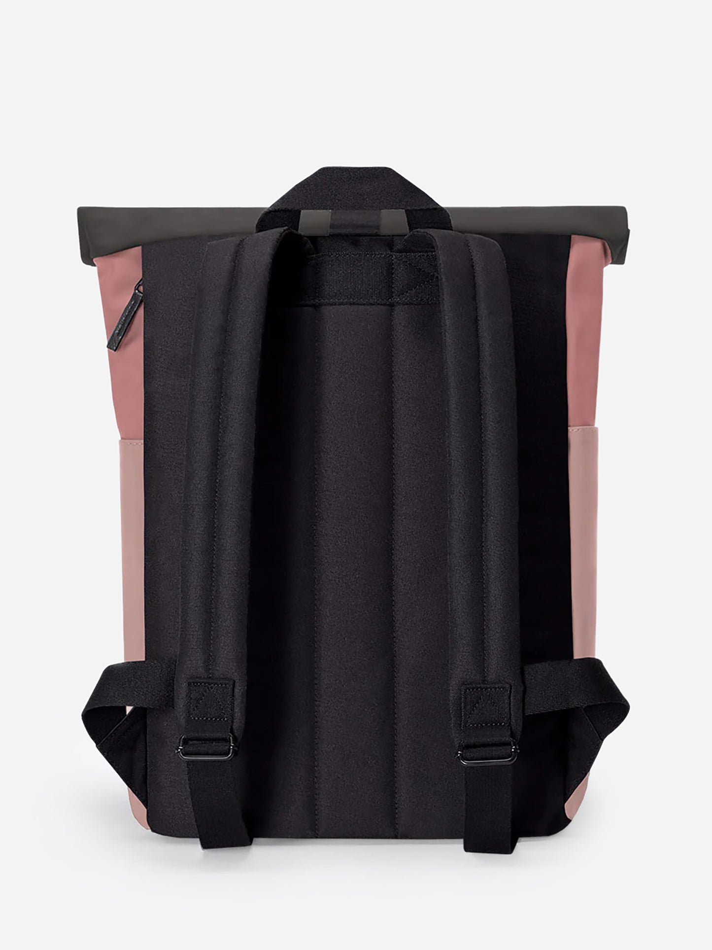 HAJOMINIxDARKROSEROSE-alt1