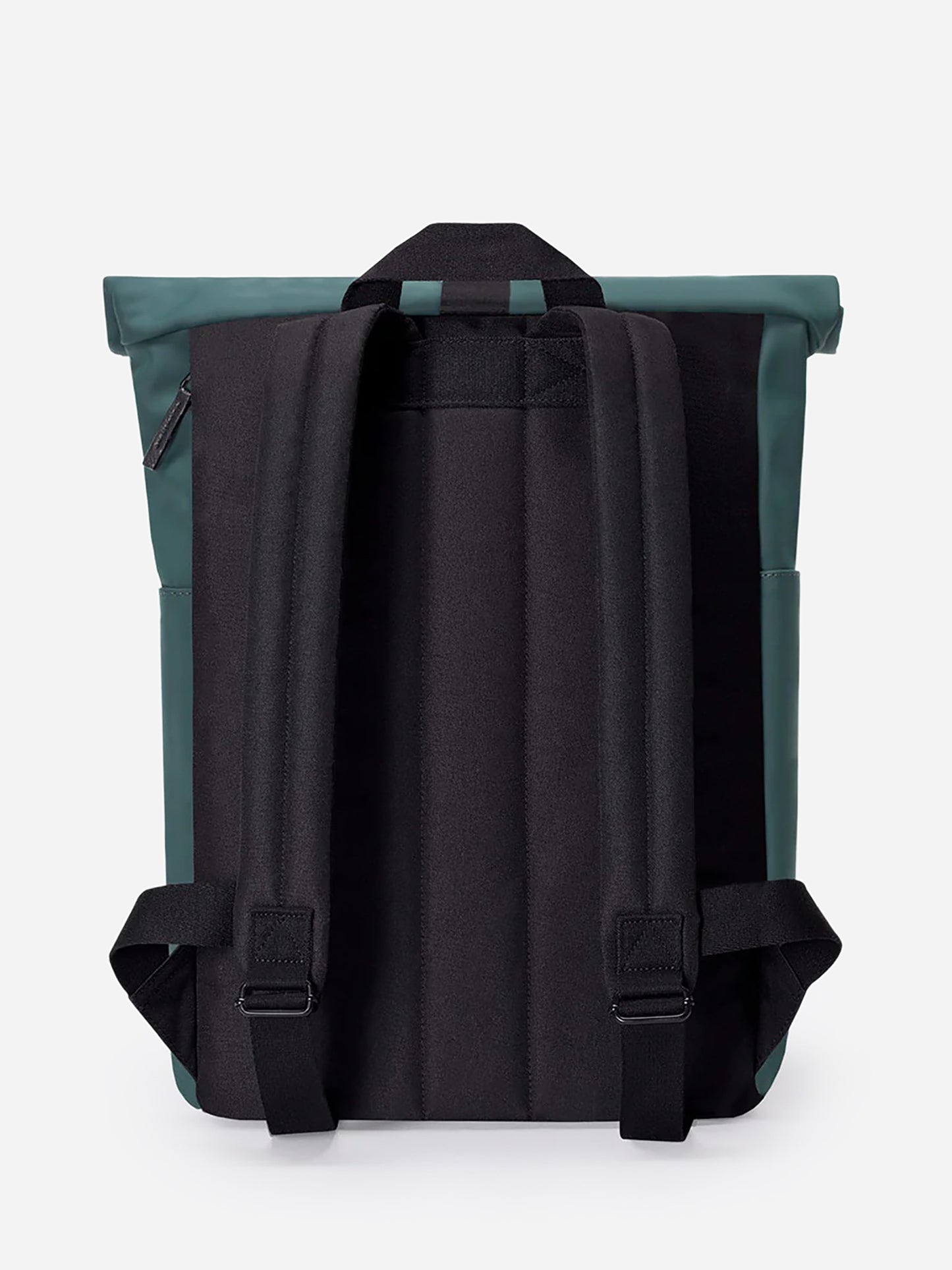 HAJOMINIxFOREST-alt1