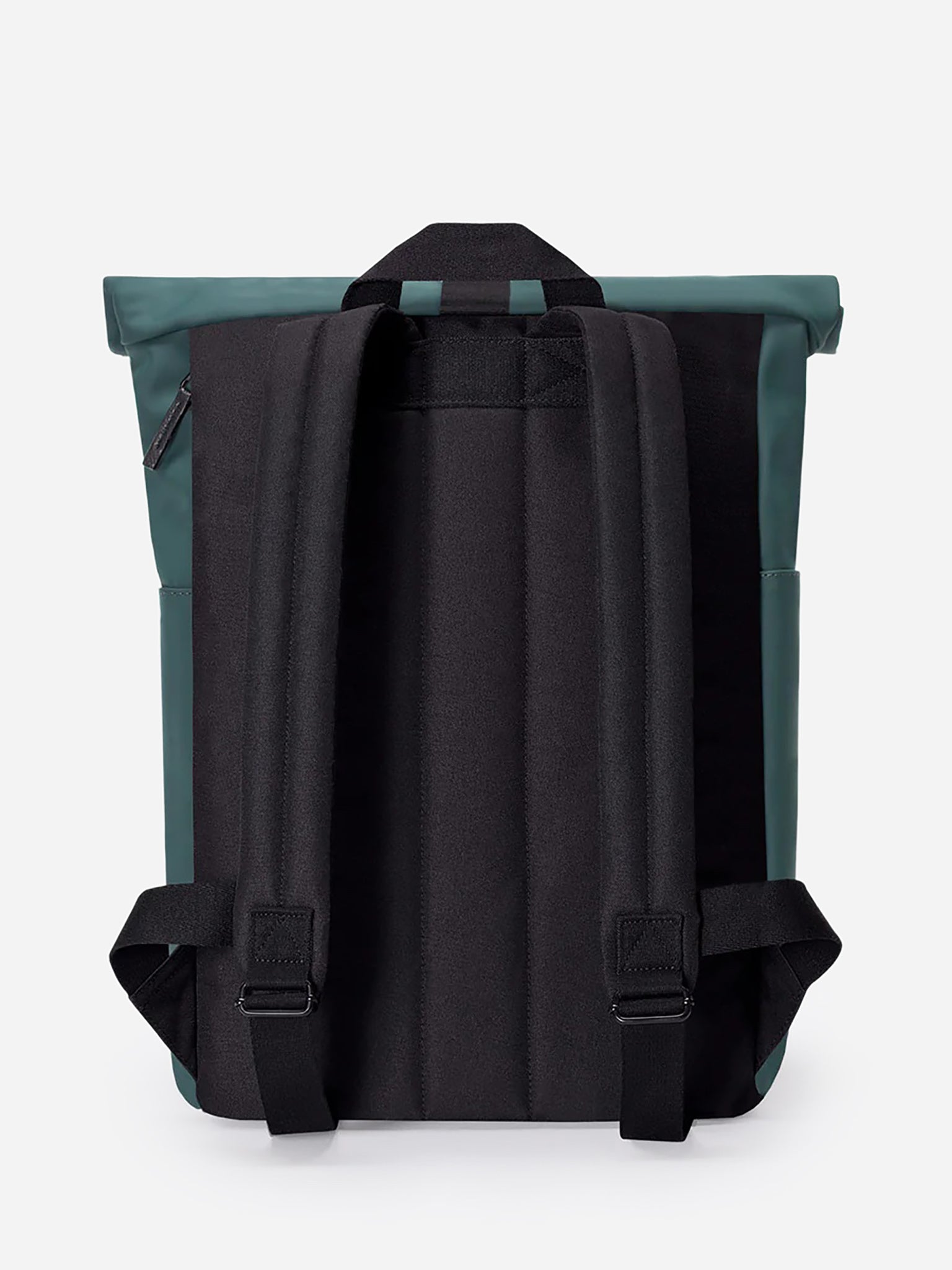 HAJOMINIxFOREST-alt1