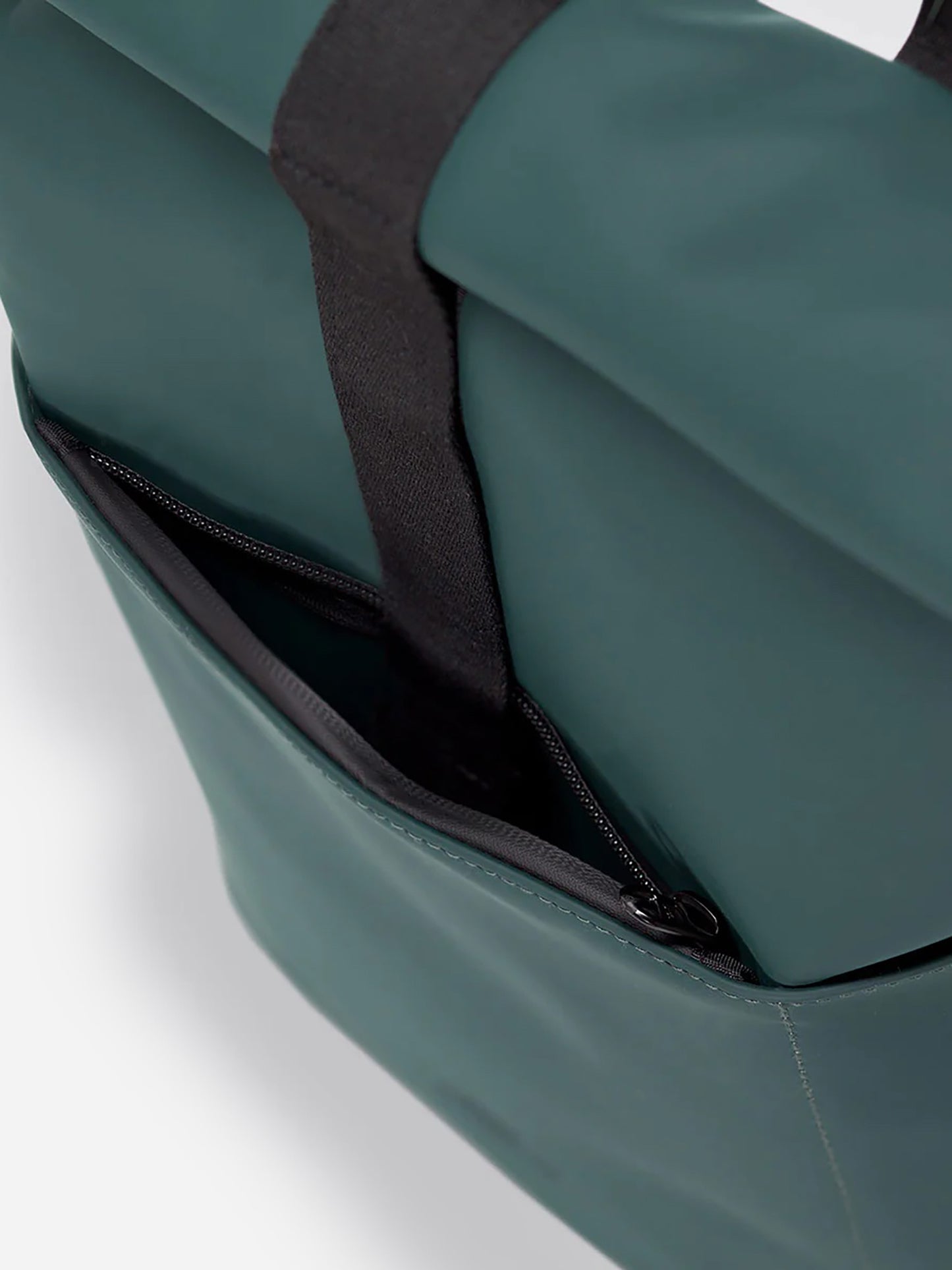 HAJOMINIxFOREST-alt2