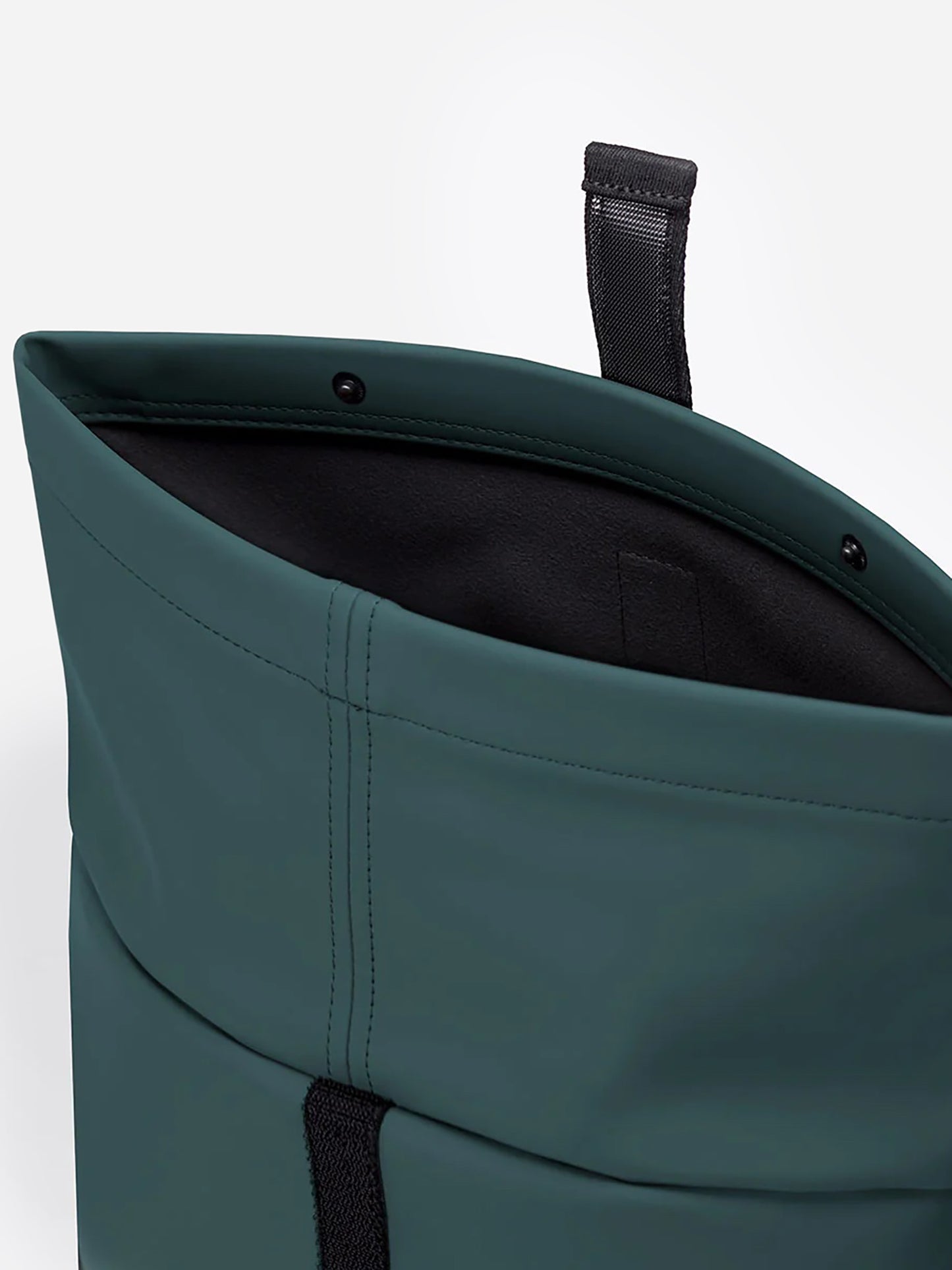 HAJOMINIxFOREST-alt3