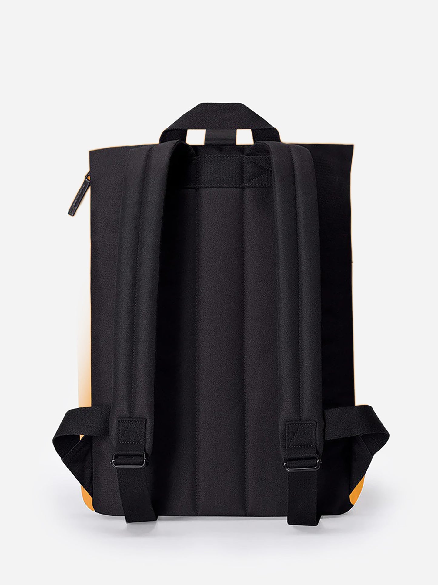 HAJOMINIxHONEYMUSTARD-alt1