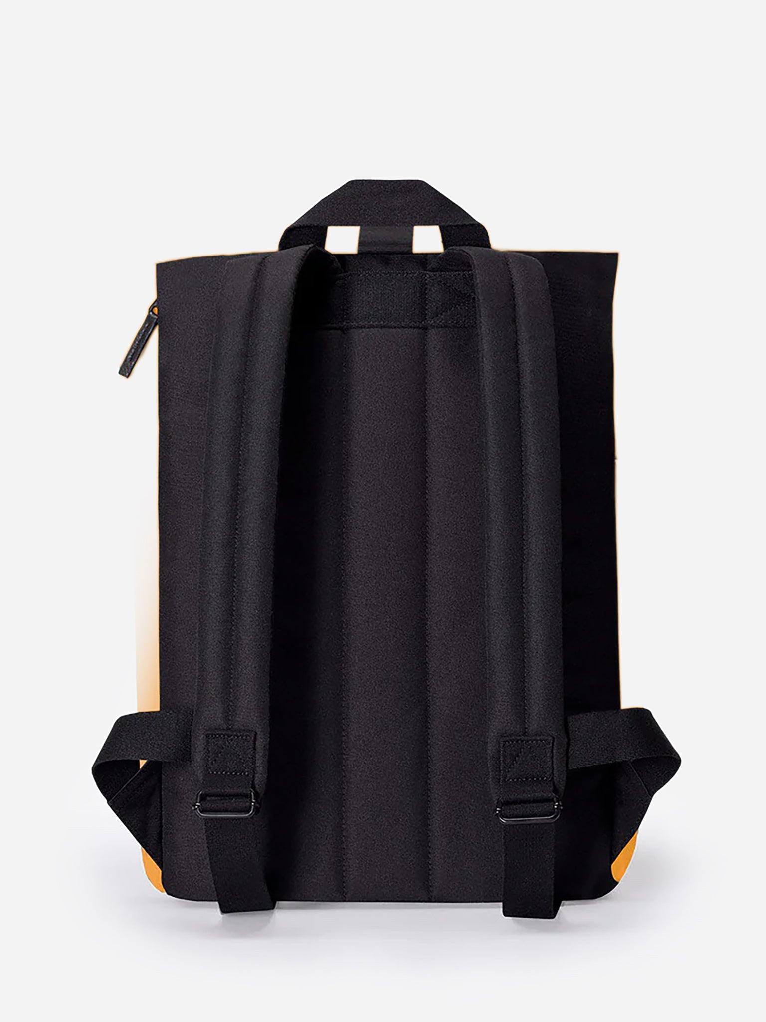 HAJOMINIxHONEYMUSTARD-alt1