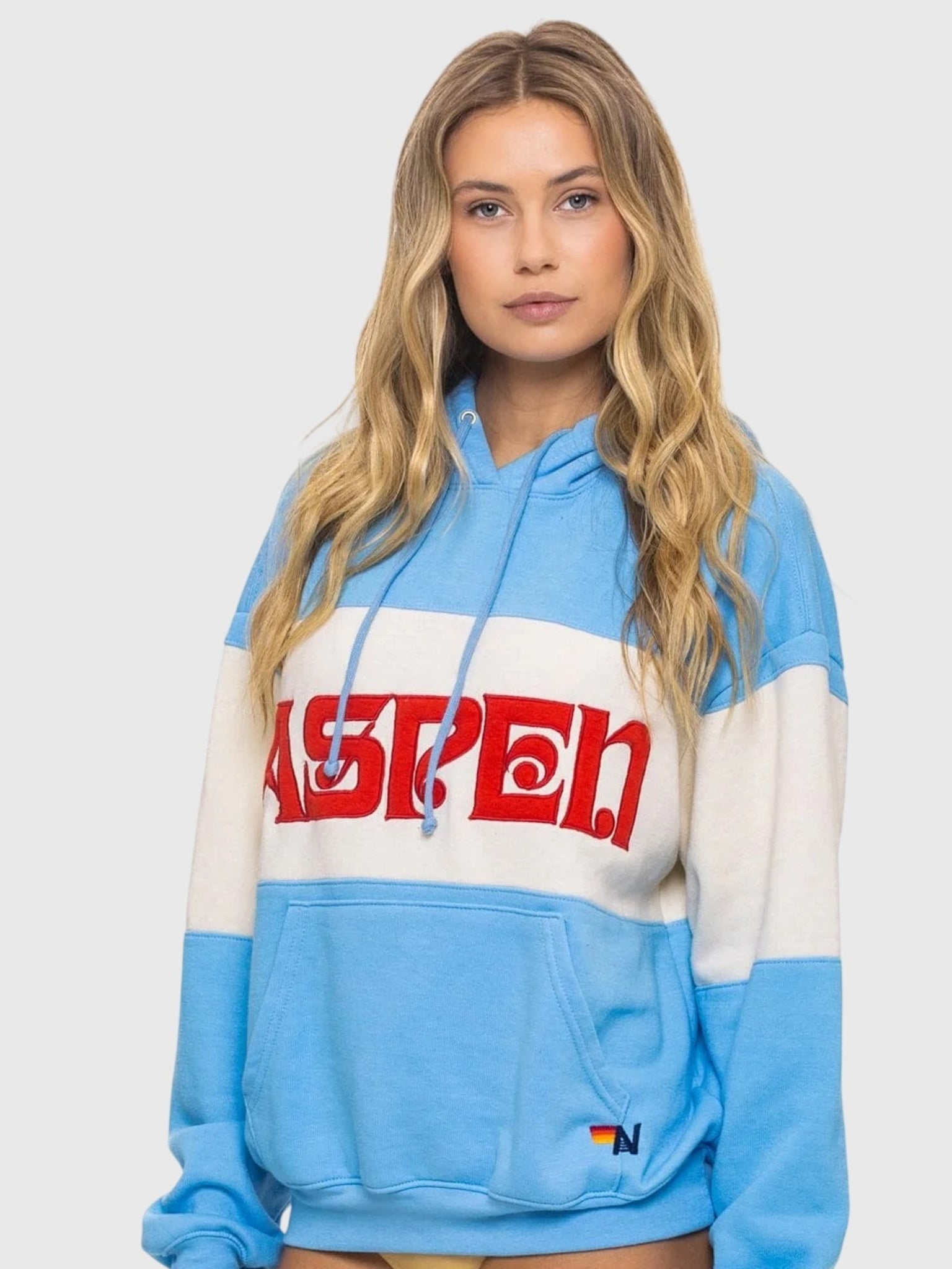 Aviator Nation Women's Aspen Embroidery Color Block Relaxed Pullover Hoodie