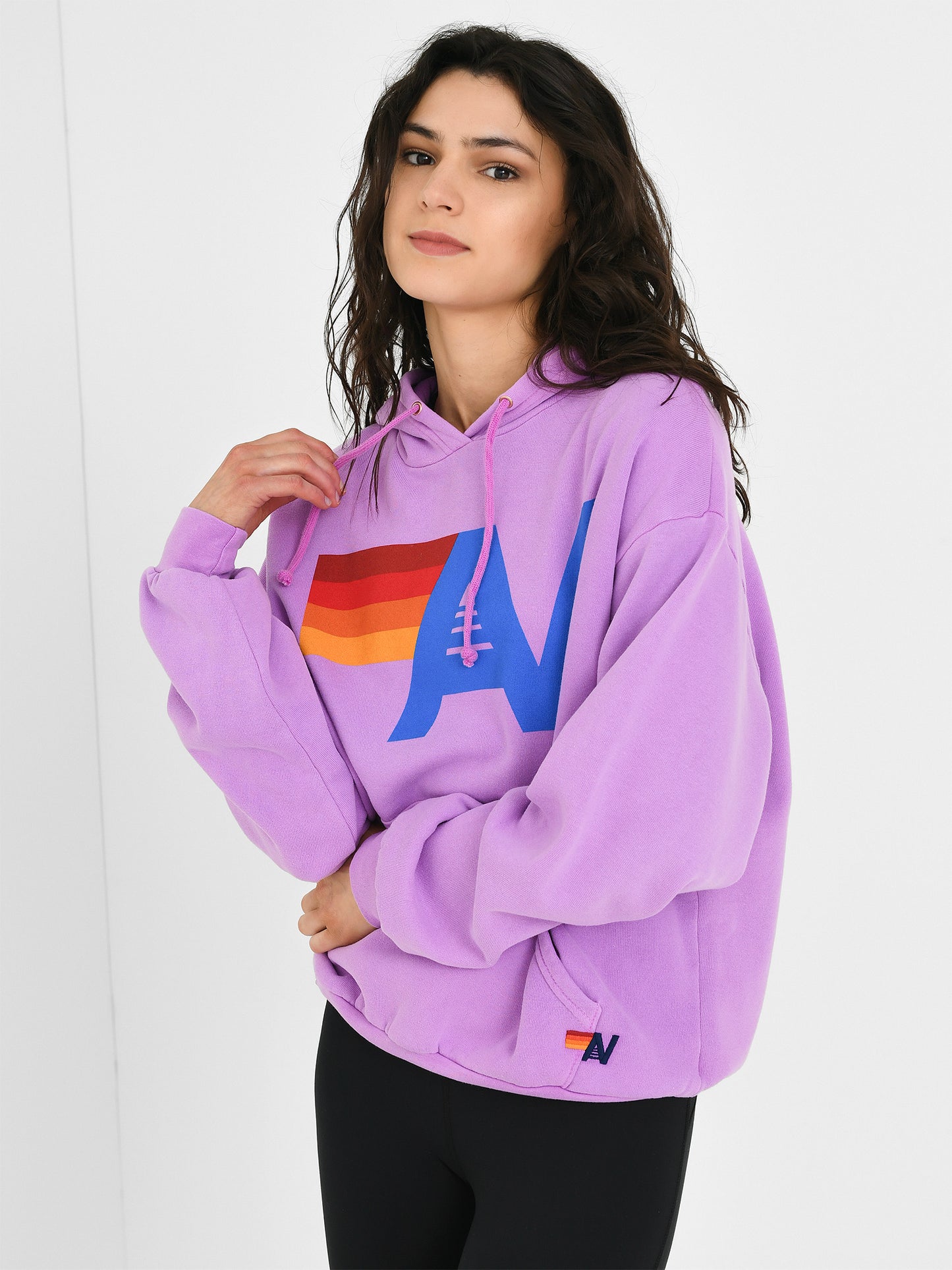 Aviator Nation Women's Logo Pullover Relaxed Hoodie - Saint Bernard