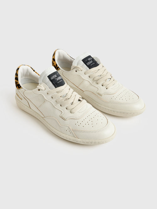 HidnAnder Women's Mega T Sneaker - Saint Bernard