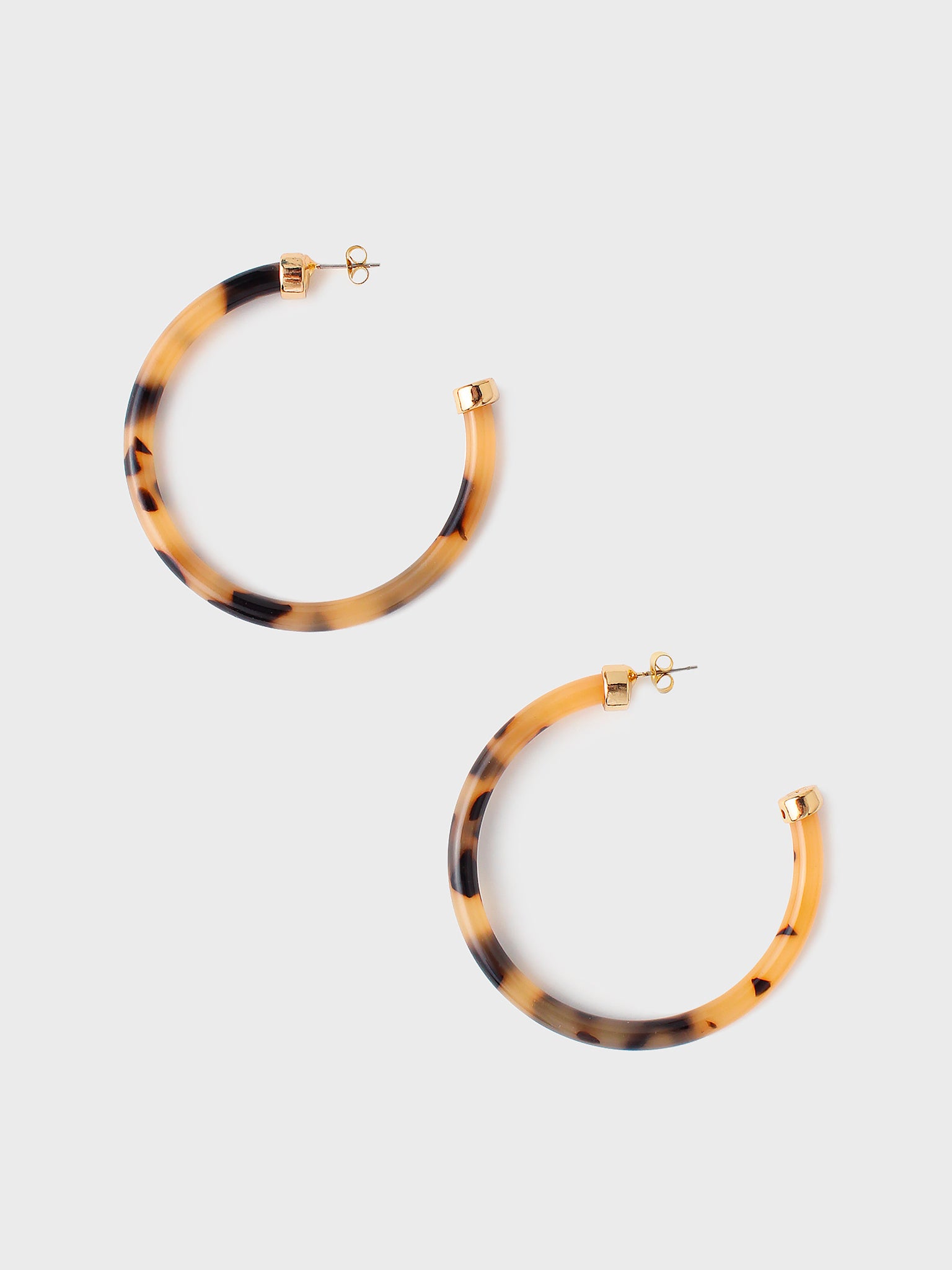 HOO HOOPS Women's Large Hoop Earrings - Saint Bernard