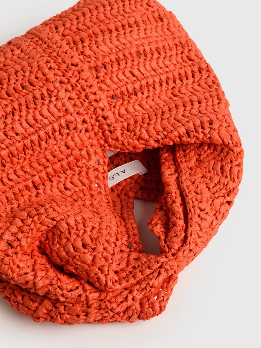 ALC Simone Raffia Bag – Saint Bernard